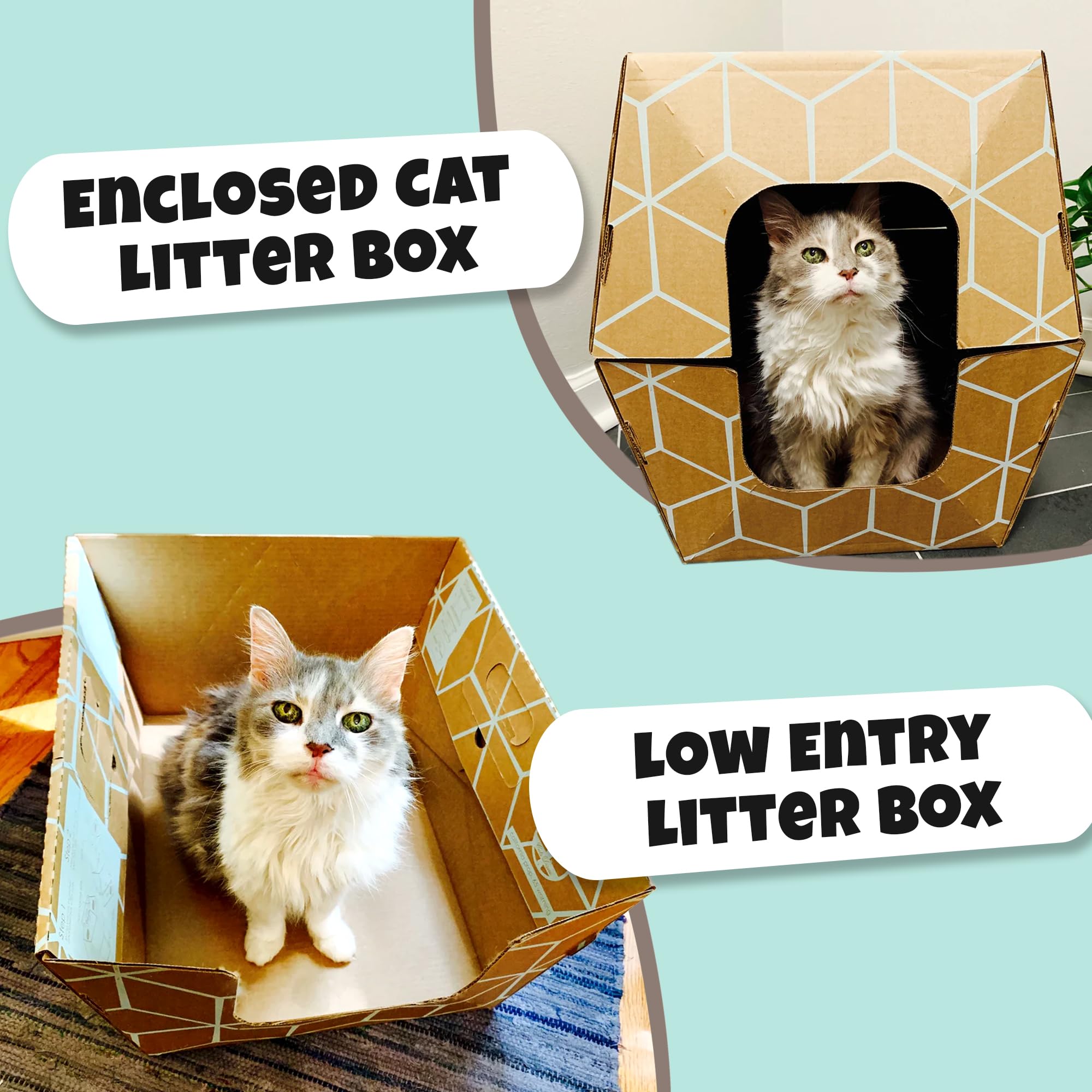 Cats Desire Disposable Cat Litter Box - 3 PC, Teal on Natural Brown, Top/Low Entry, Enclosed, Recycled Cardboard - 17"x17"x15.25"