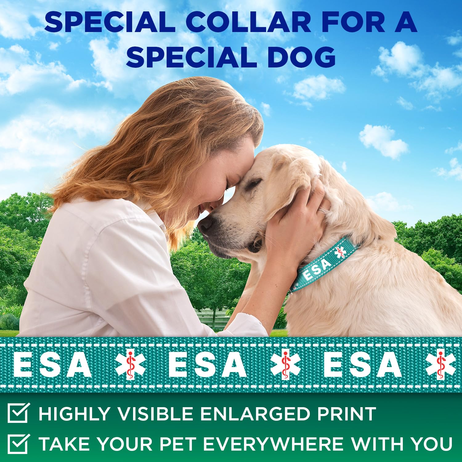 Teceum Reflective Pet Collar - Teal - Esa - Xs - Extra Soft Padding - Basic Nylon Dog Collar - Quick Release Buckle - Fits Small
