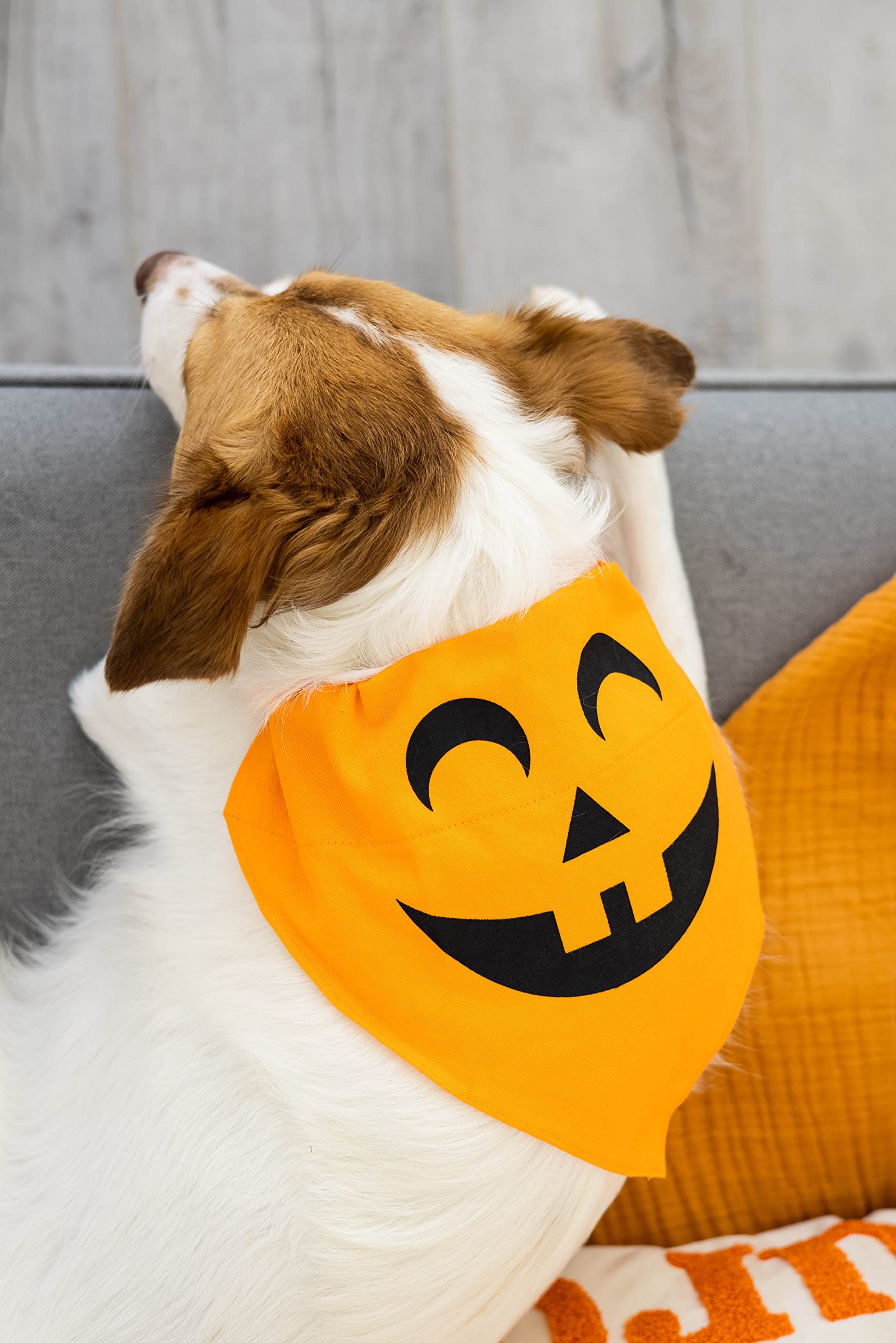 Pearhead Pumpkin Dog Bandana - Fall Dog Apparel, Halloween Costume, Slip On Collar Accessory - Medium/Large