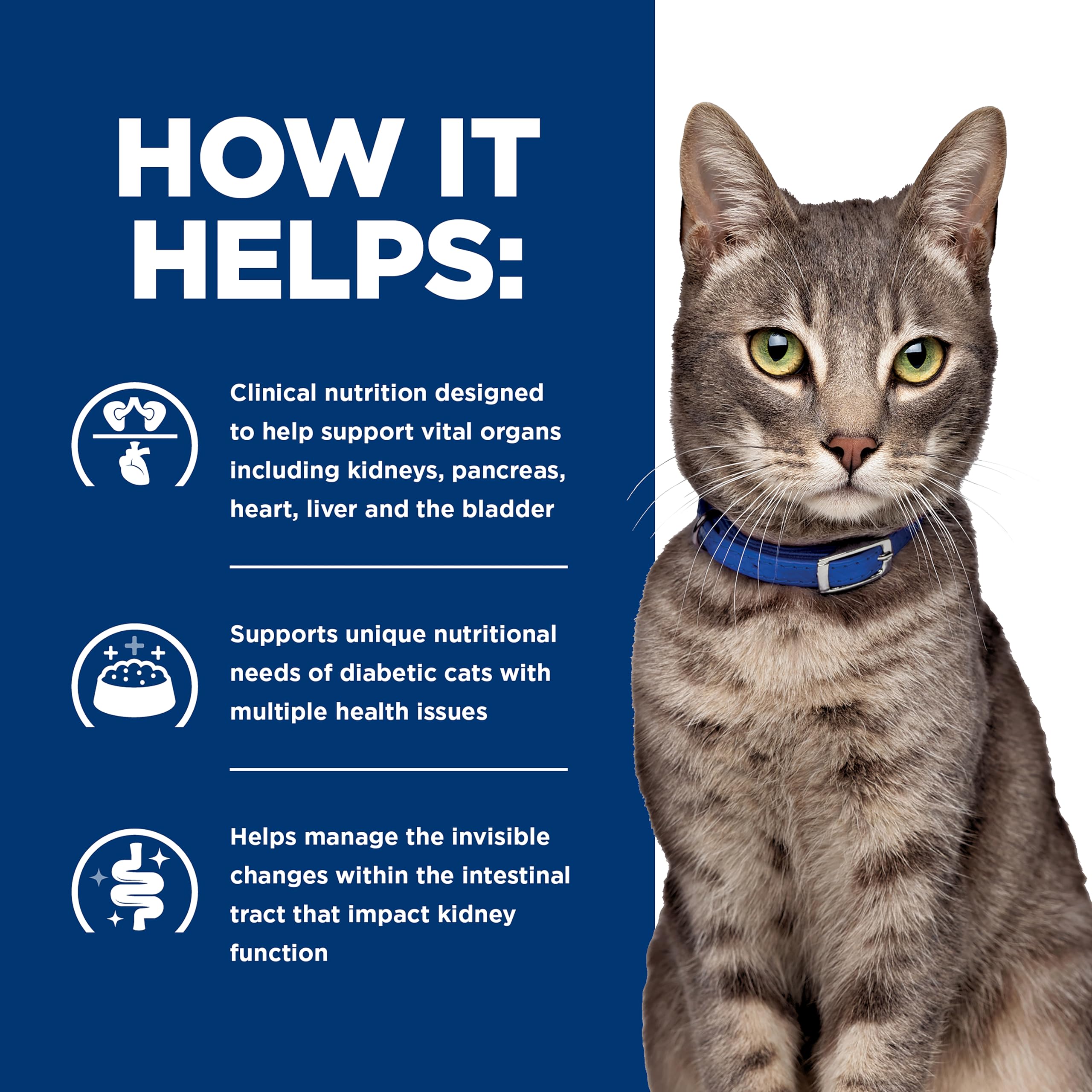 Hills Prescription Diet Multi-Organ Support Chicken Cat Wet Food, 24 x 5.5 oz case