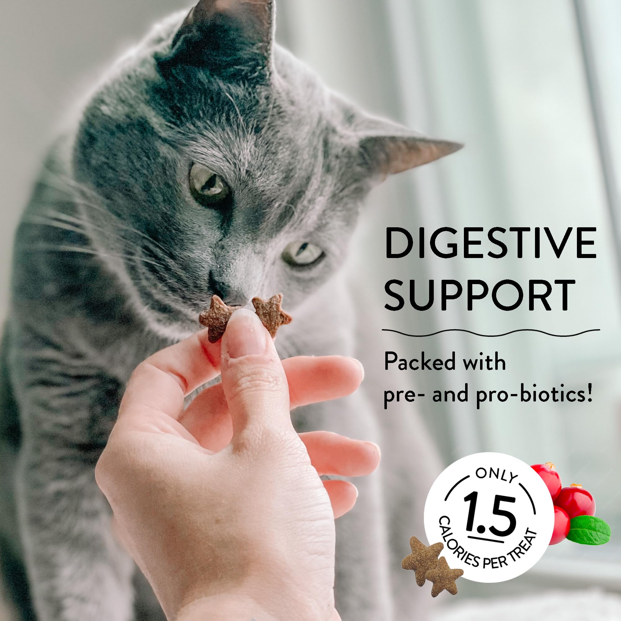 Shameless Pets Crunchy Cat Treats - Kitty Treats for Cats with Digestive Support, Natural Kitten Treats with Real Chicken, Healt