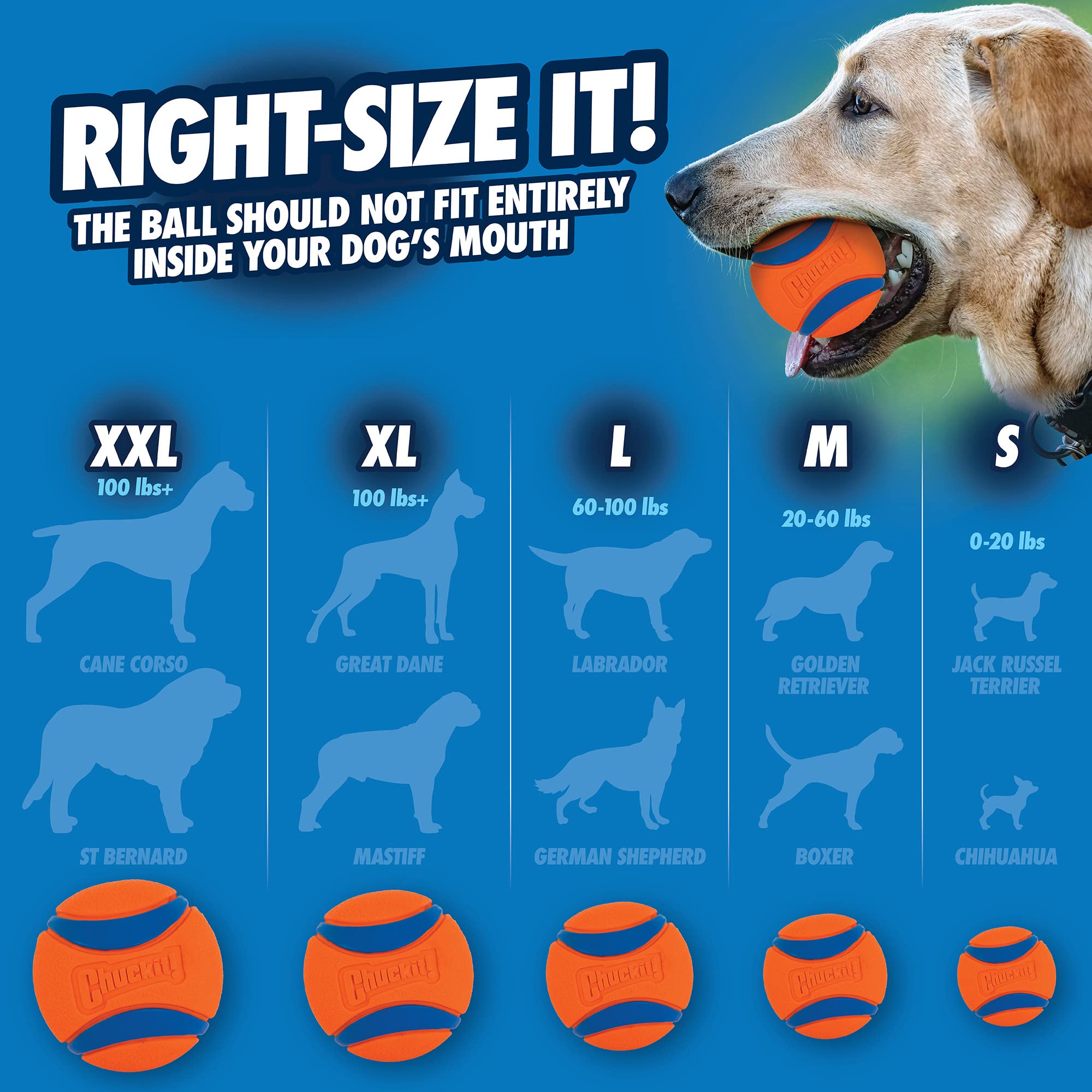 Chuck It Ultra Ball, Large/Grande, Orange (2 Pack)