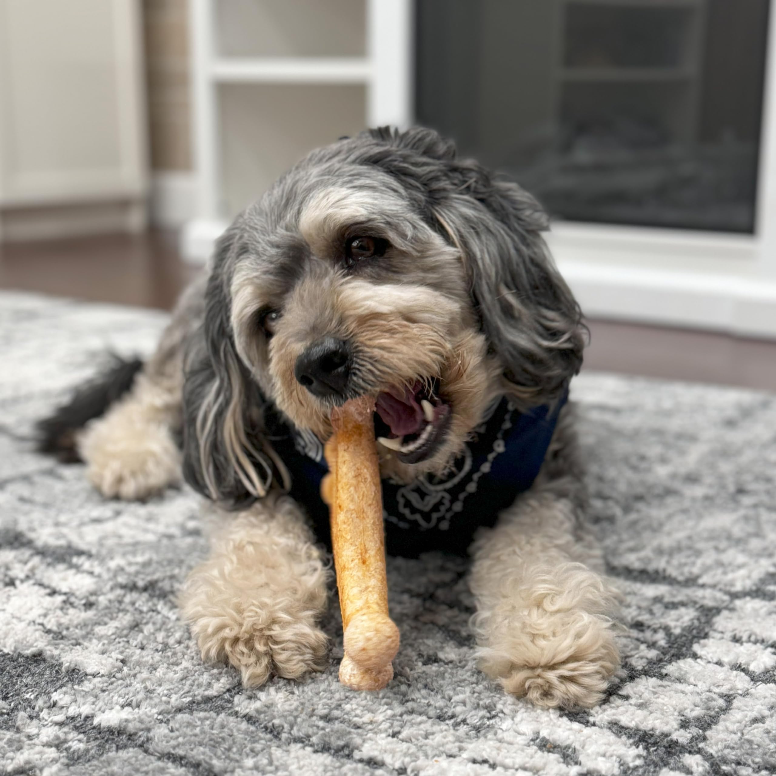 Fieldcrest Farms Nothin to Hide Collagen-Based Dog Chews, Wishbone, Beef Flavor, Ultra-Premium, for Dogs Over 50lbs, Easily Dig