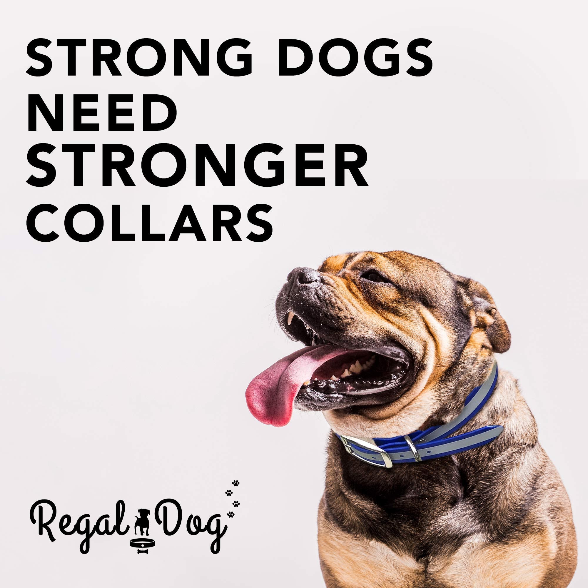 Regal Dog Products Medium Blue Heavy Duty Reflective Dog Collar With Durable Metal Buckle And D Ring Adjustable, Chew Proof & Wa