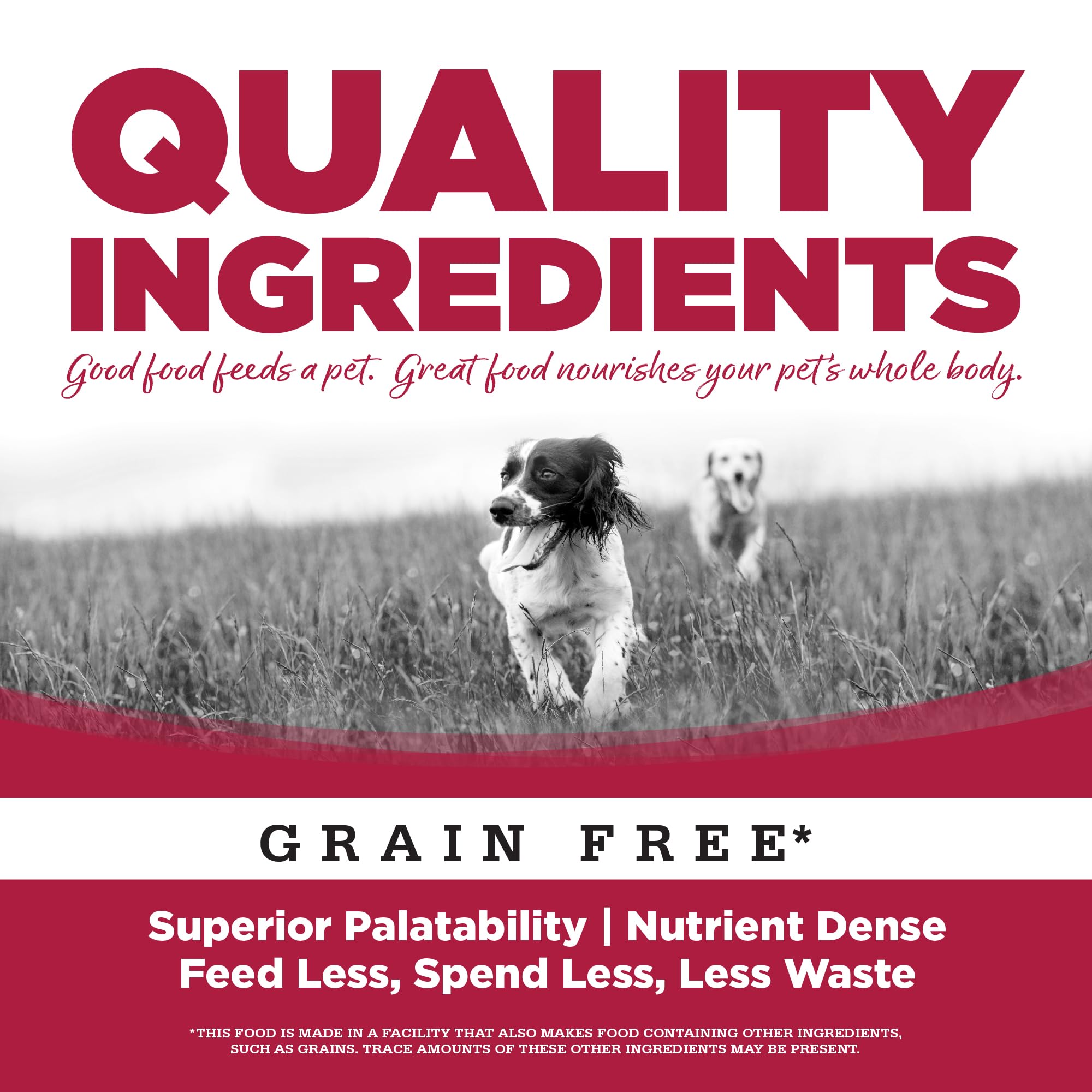 NutriSource Seafood Select Grain Free Dry Dog Food, Salmon and Menhaden Fish Meal, 12LB