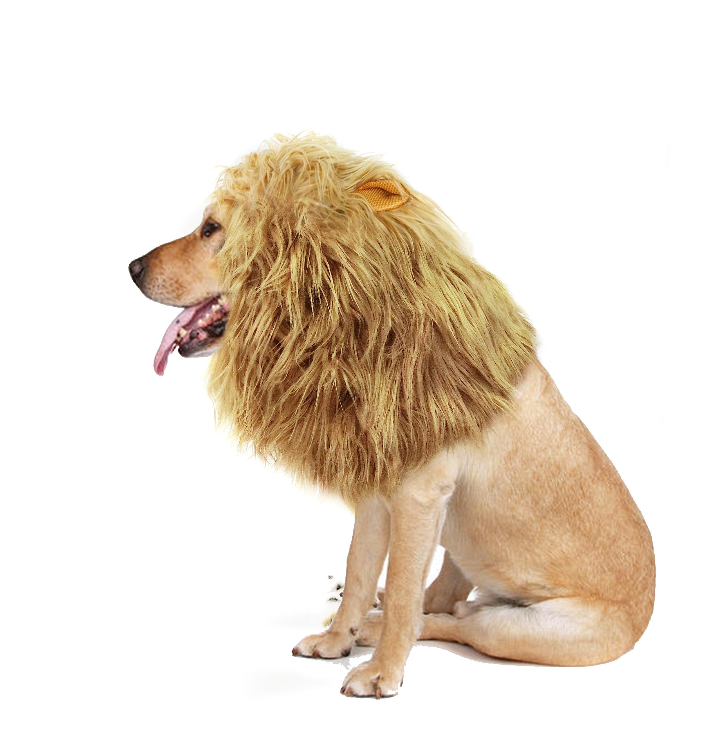 Onmygogo Lion Mane Wig For Dogs With Ears, Funny Pet Costumes For Halloween Christmas (Size L, Yellow)