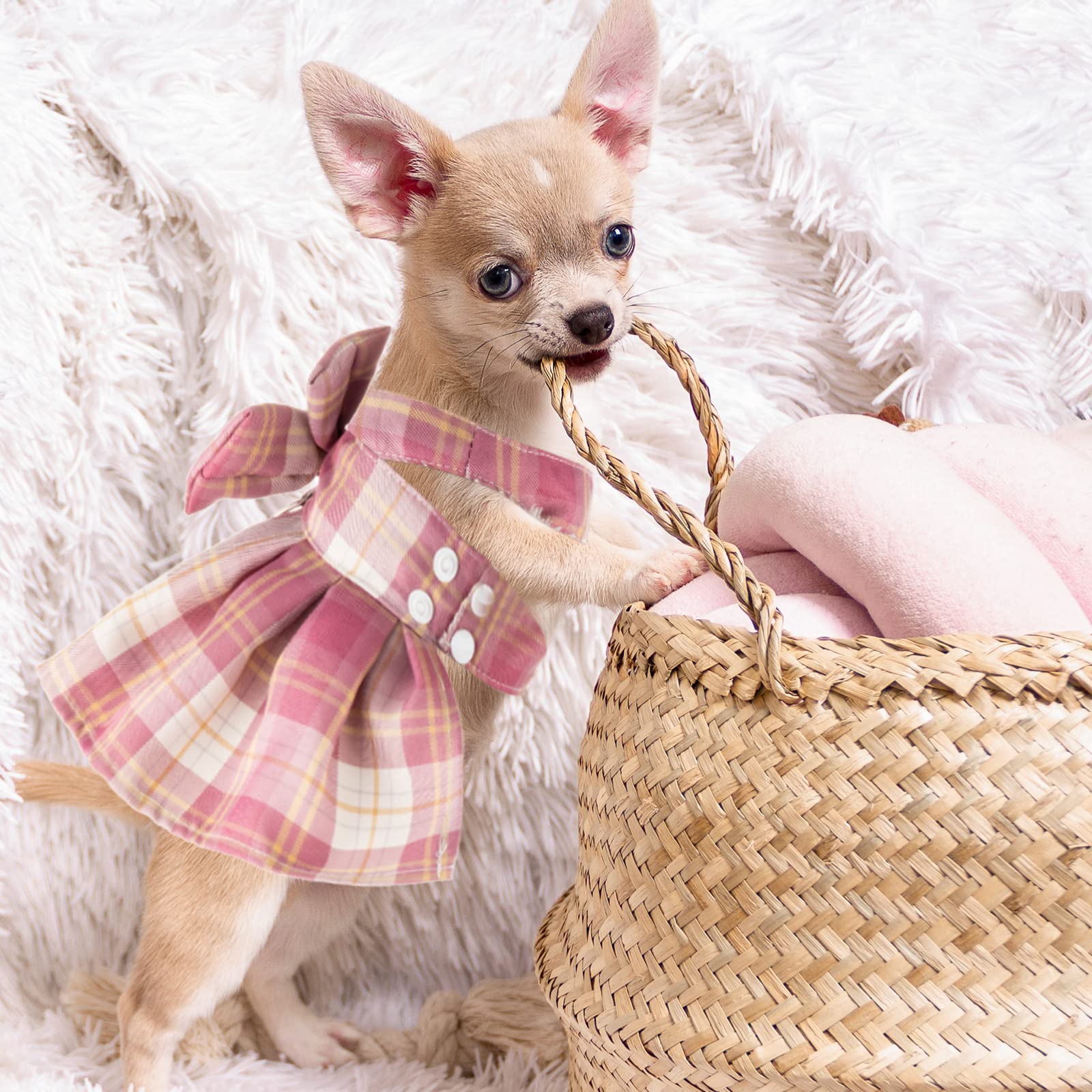 4 Pcs Plaid Dog Dress Bow Tie Harness Leash Set Harness Dress For Small Dogs Cute Dog Pet Girl Puppy Summer Clothes For Female Summer Bunny Rabbit Clothes Yorkie Chihuahua Training Walking (L)
