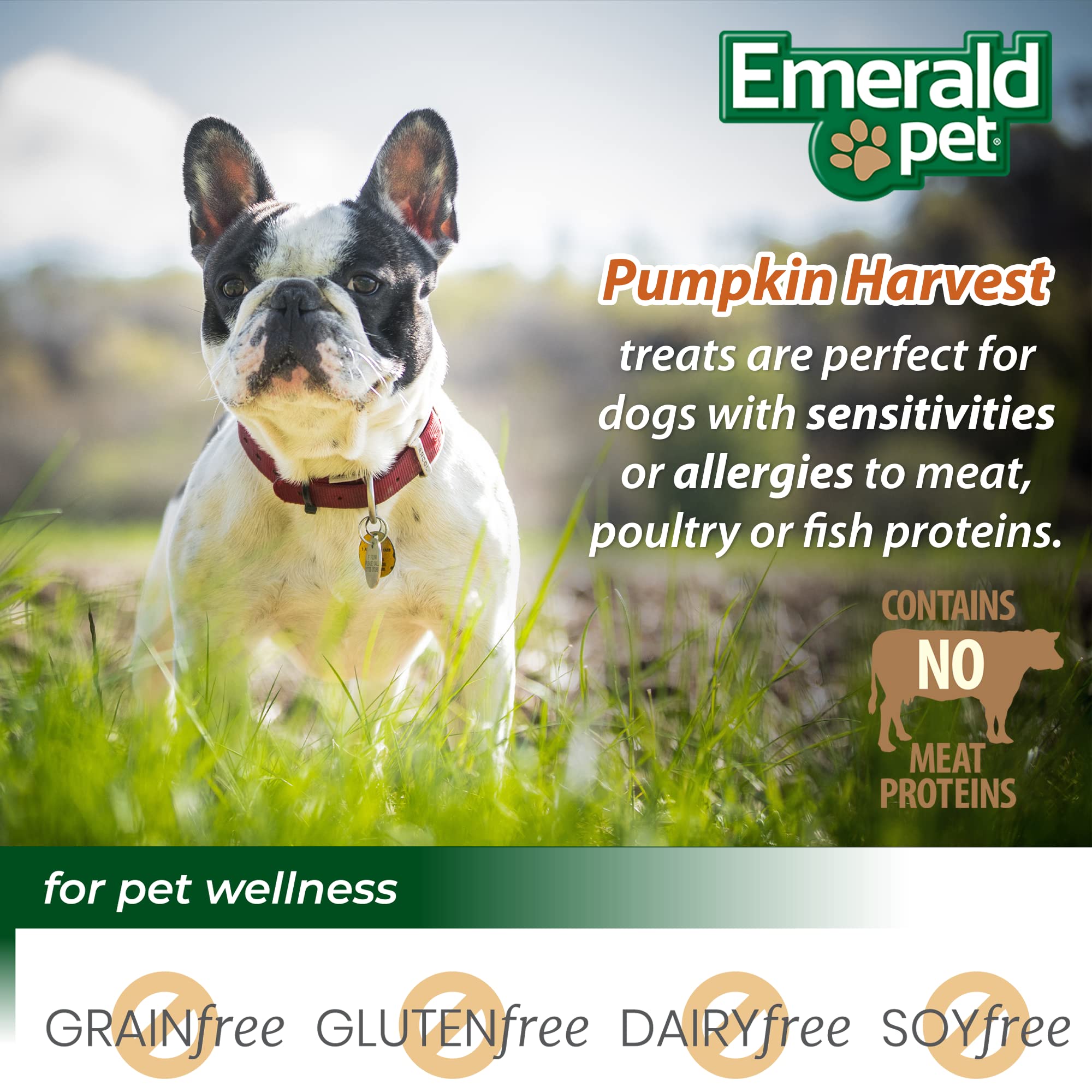 Emerald Pet Pumpkin Harvest Dog Treats - Low-Fat Chewy Natural Dog Treats with Pumpkin for Digestive Health - Meat Free, Poultry