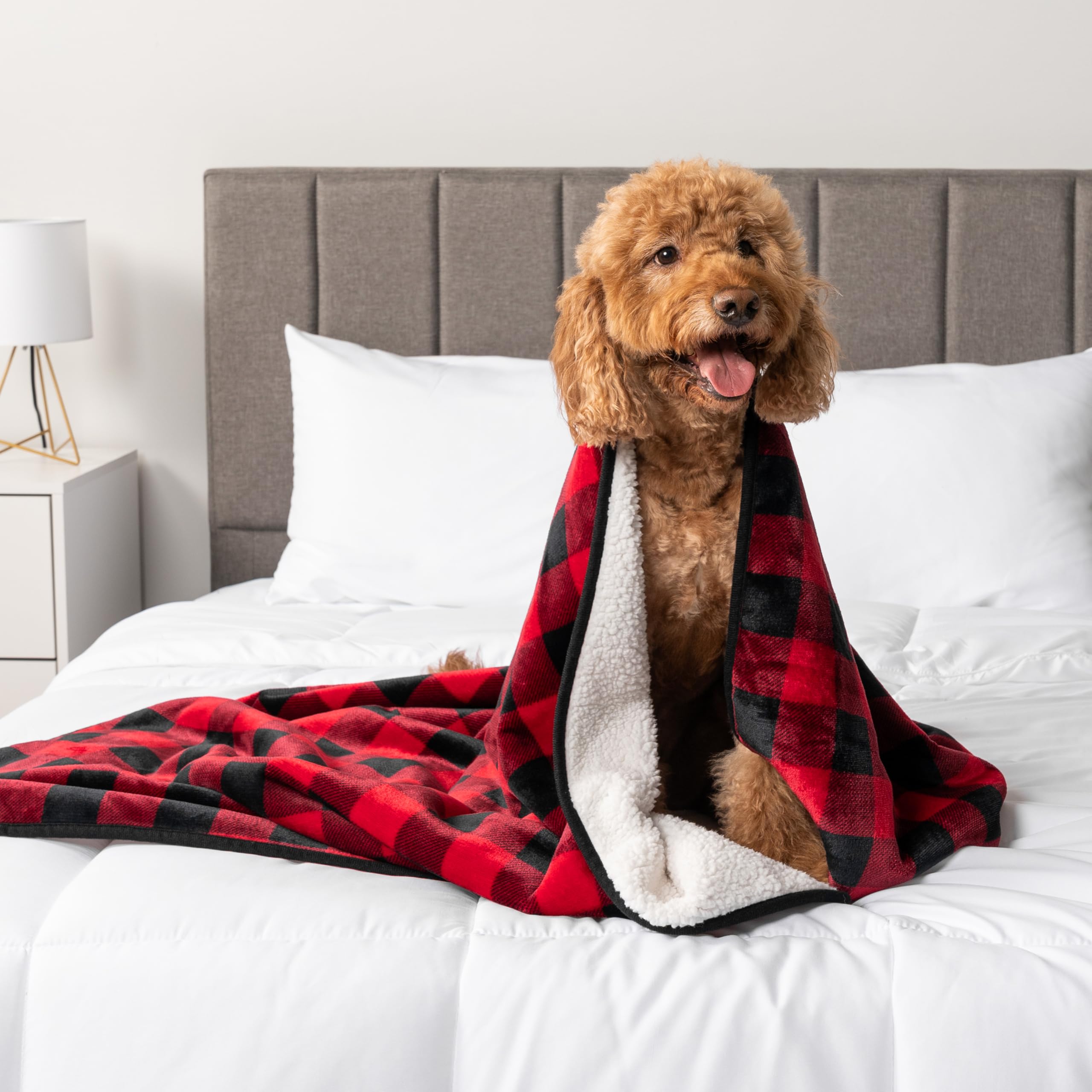 Petami Waterproof Dog Blanket For Medium Large Dogs, Pee Proof Pet Blanket For Bed Couch, Reversible Water Proof Blanket For Puppy Indoor Cat, Soft Dog Pee Crate Cover Washable, 60X80 Checkered Red