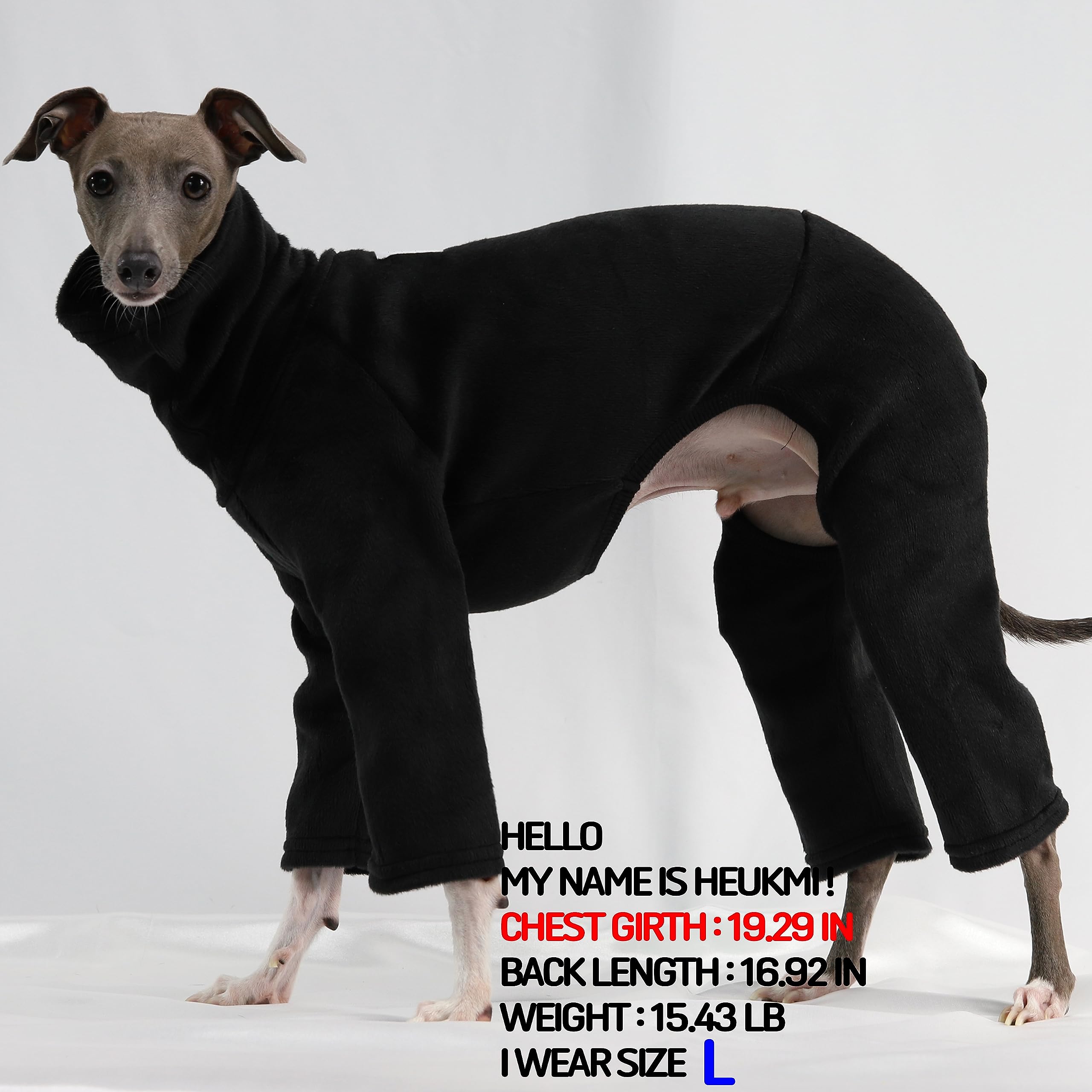 D Doggy Star Italian Greyhound Clothes Sweater Fleece Basic Onesie Whippet For Dog Turtleneck Outfits Coat (S,Flce Black)