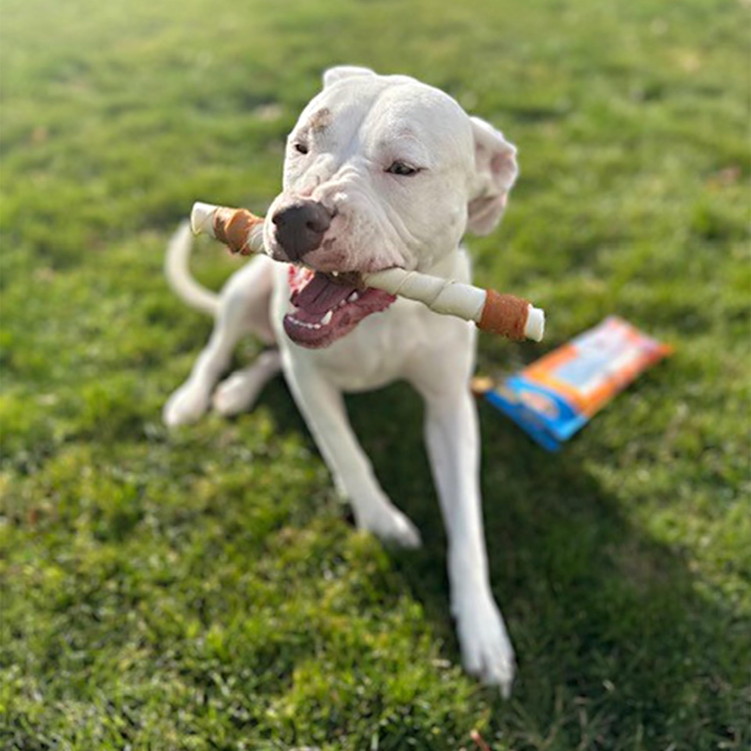 Cadet Gourmet Shish Kabob Dog Treats for Large Dogs, Healthy & Natural Chicken & Sweet Potato Chew Sticks, Beef Hide, Extra Larg
