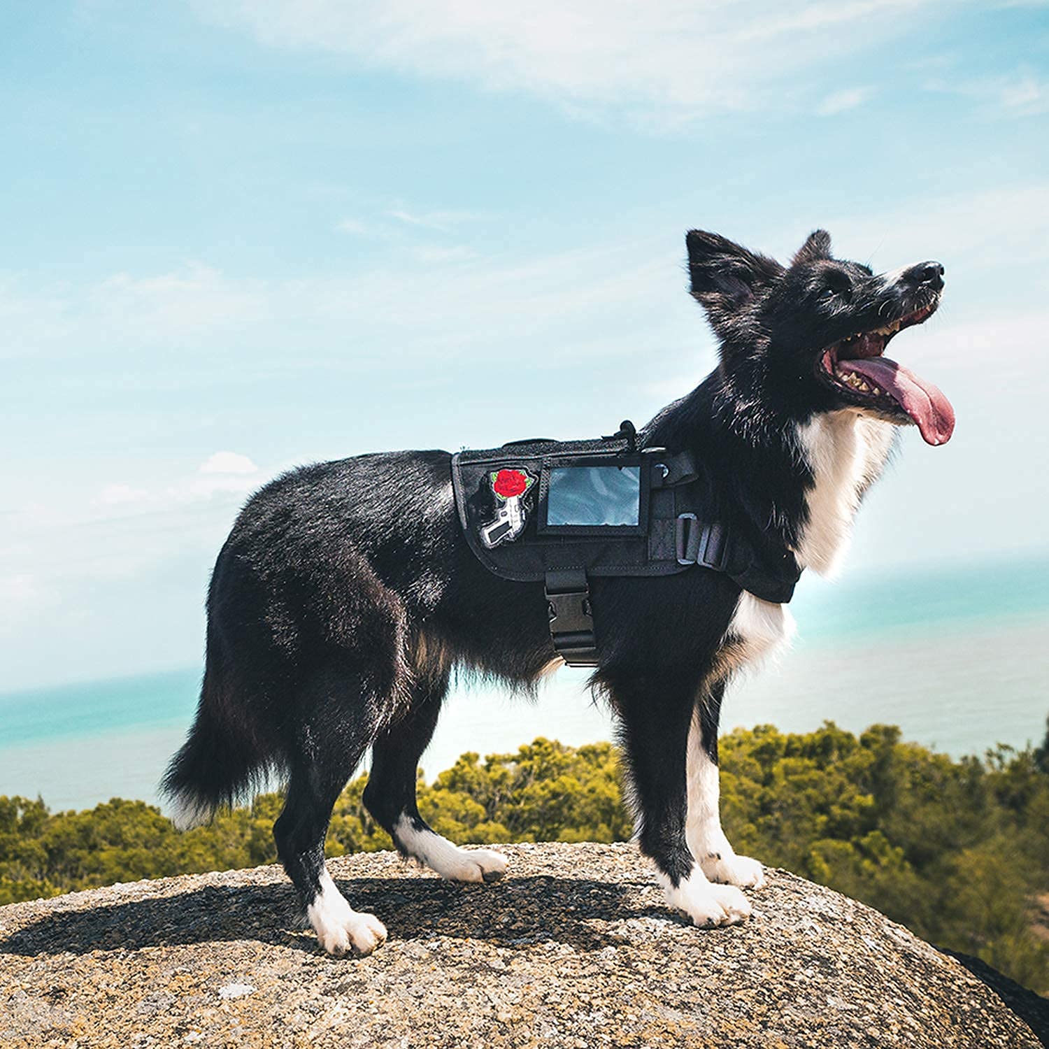 ONETIGRIS Service Dog Harness - Large, Removable Neck Strap, 500D Nylon, Black, Short Version