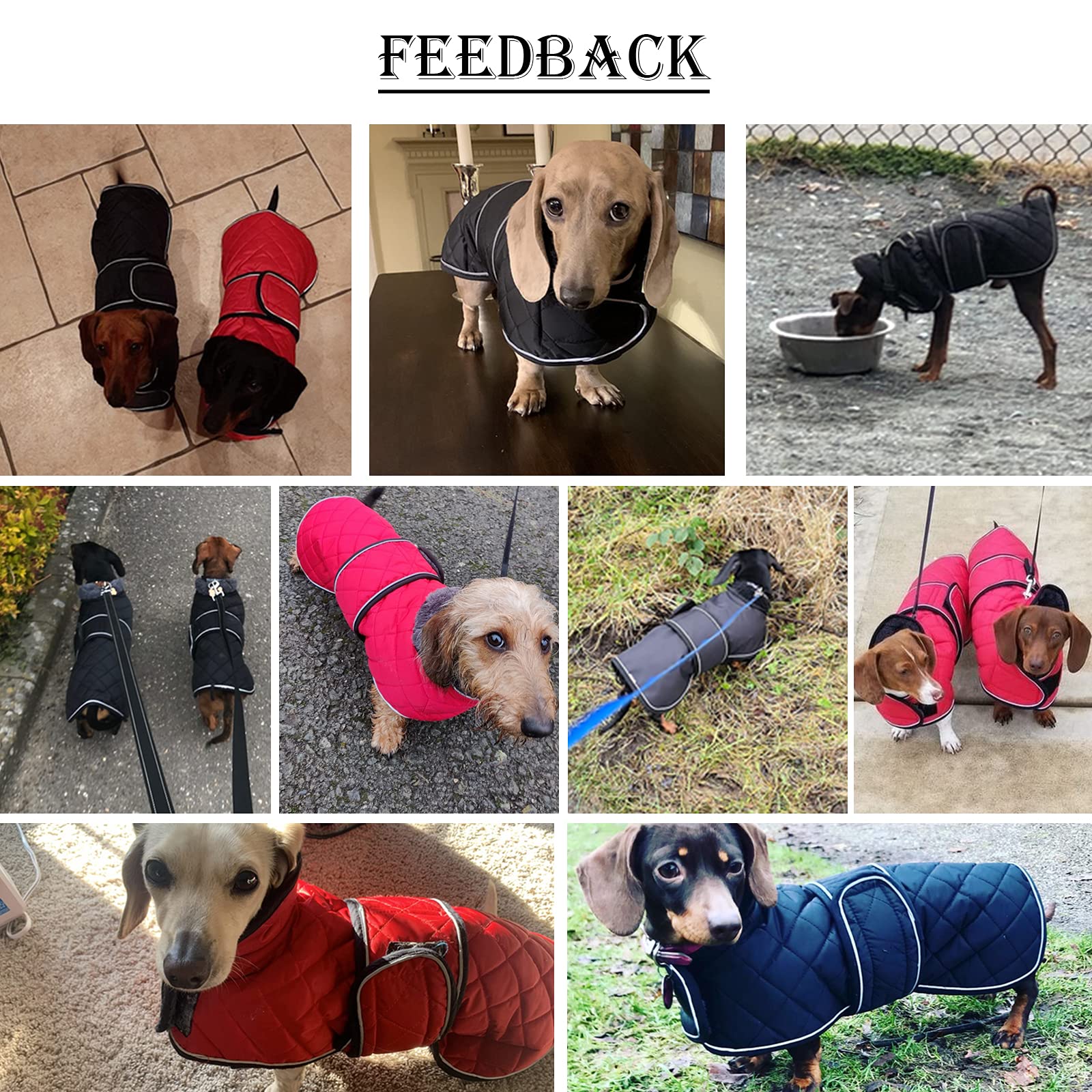 Morezi Dachshund Coats, Dachshund Coat, Coat For Dachshund, Dog Winter Coat With Padded Fleece Lining, Outdoor Dog Apparel With Adjustable Bands - Navy - Xs