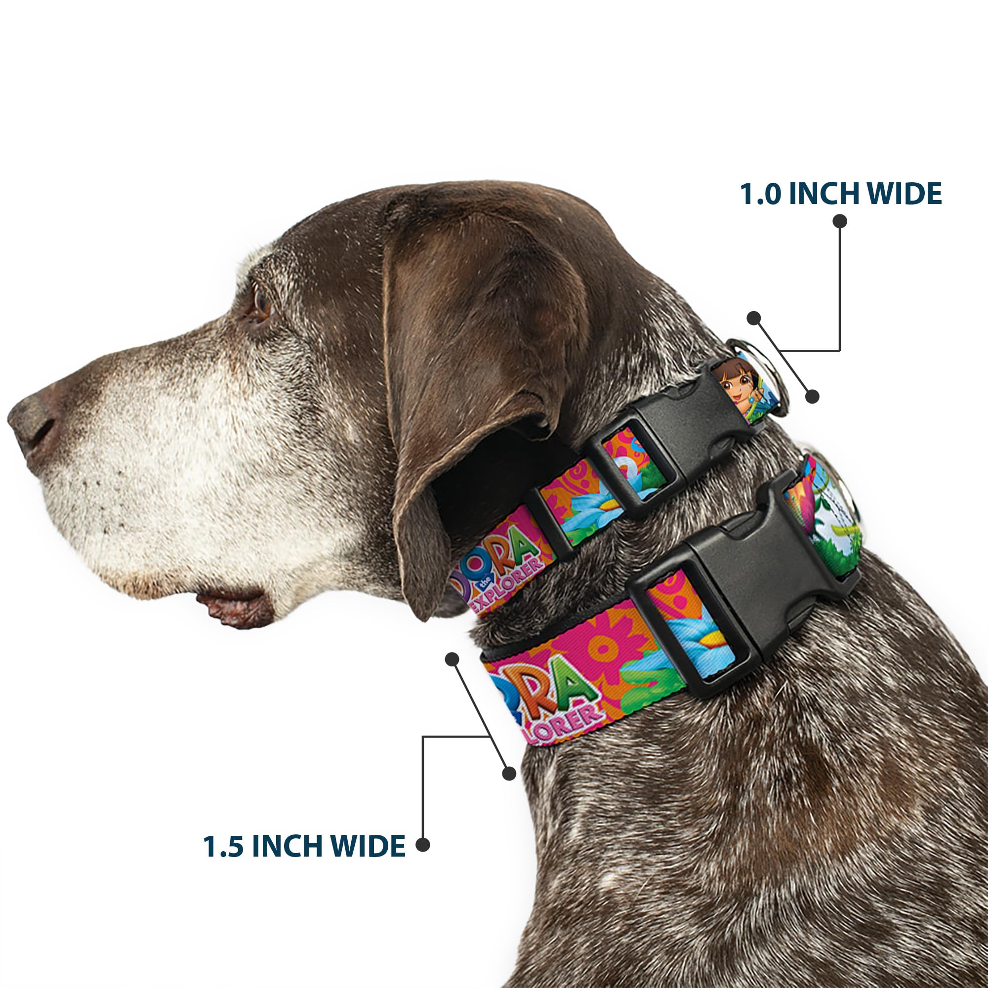Dog Collar Plastic Clip Dora The Explorer Dora Poses Floral Collage Orange Pink 6 To 9 Inches 0.5 Inch Wide