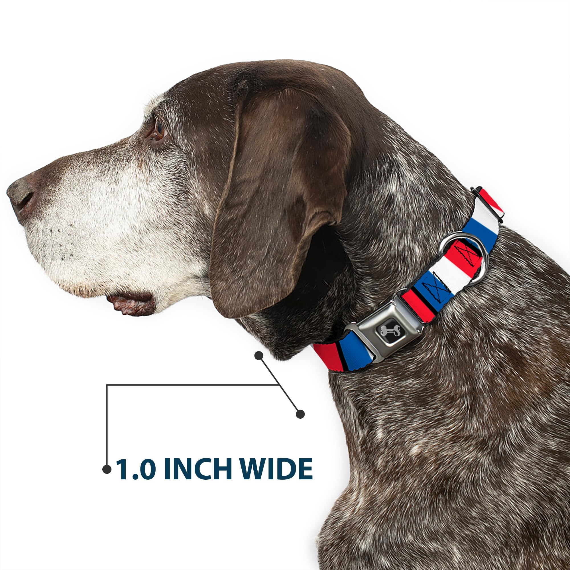 Buckle-Down Seatbelt Buckle Dog Collar - France Flags - 1.5 Wide - Fits 13-18 Neck - Small