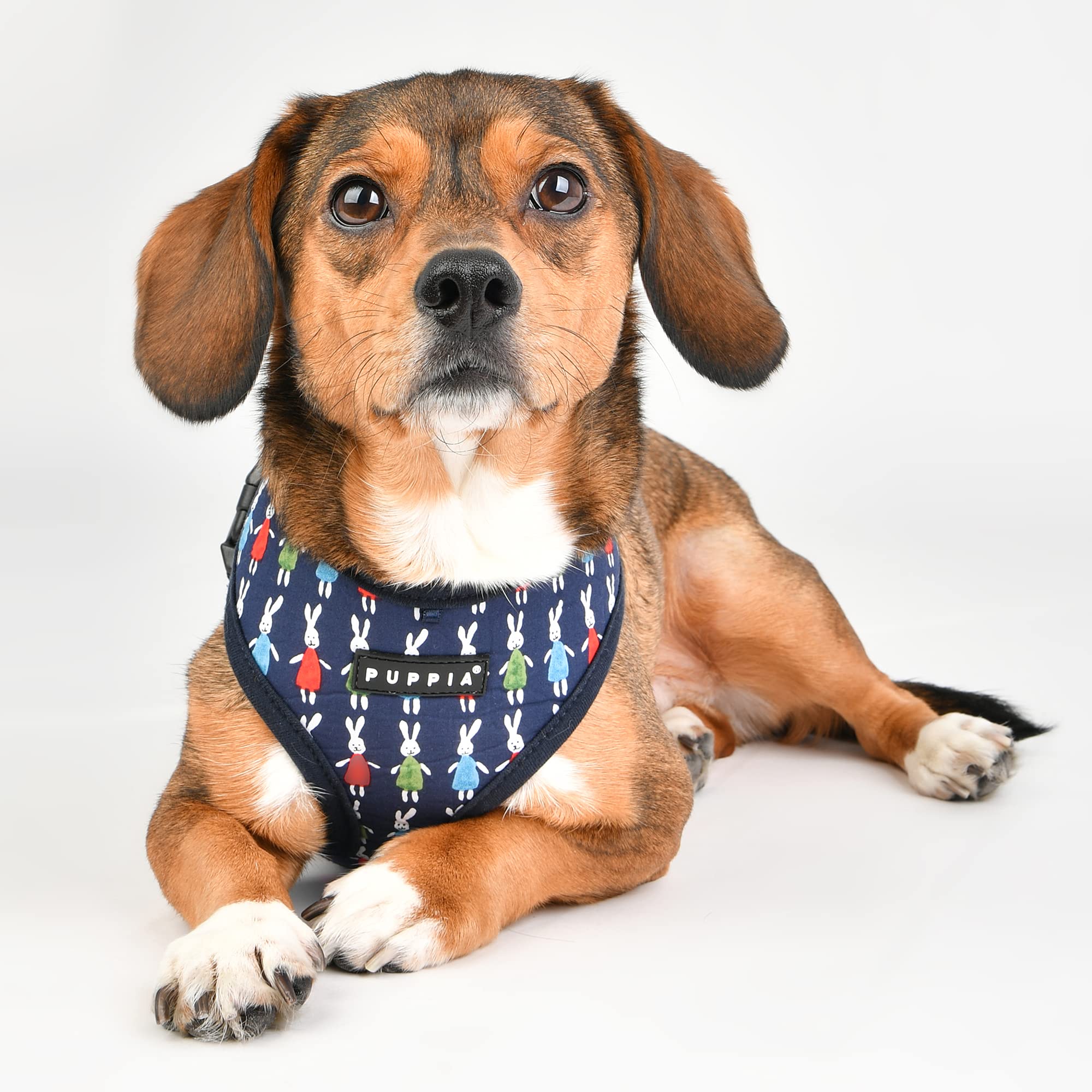 Puppia Mollie Harness A - Navy - M