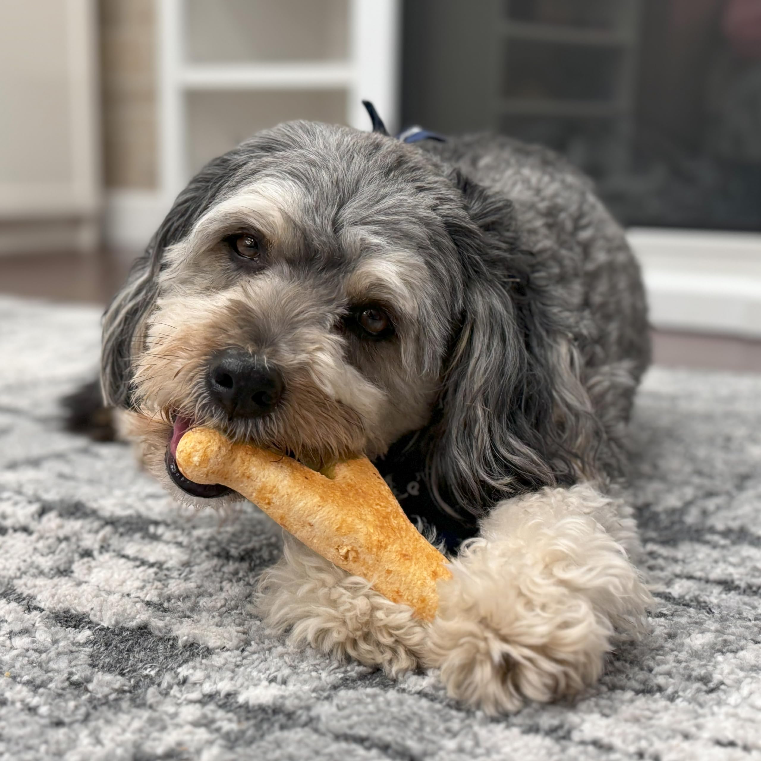 Fieldcrest Farms Nothin to Hide Collagen-Based Dog Chews, Wishbone, Beef Flavor, Ultra-Premium, for Dogs Over 50lbs, Easily Dig