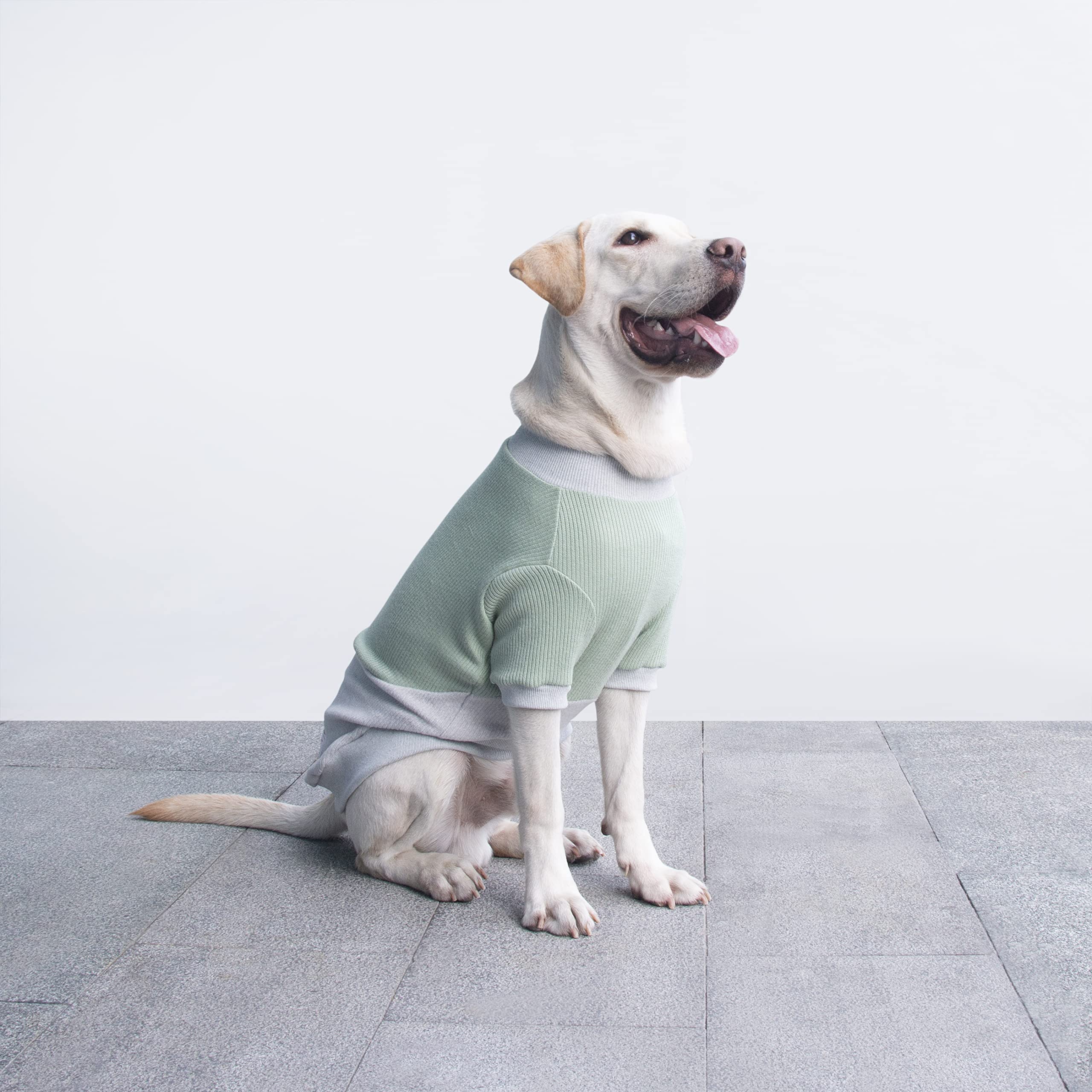 Arunners Extra Large Dog Sweaters Warm Clothes Pullover Sweatshirts For Labrador Rottweiler Great Dane, Green Grey, 3X-Large