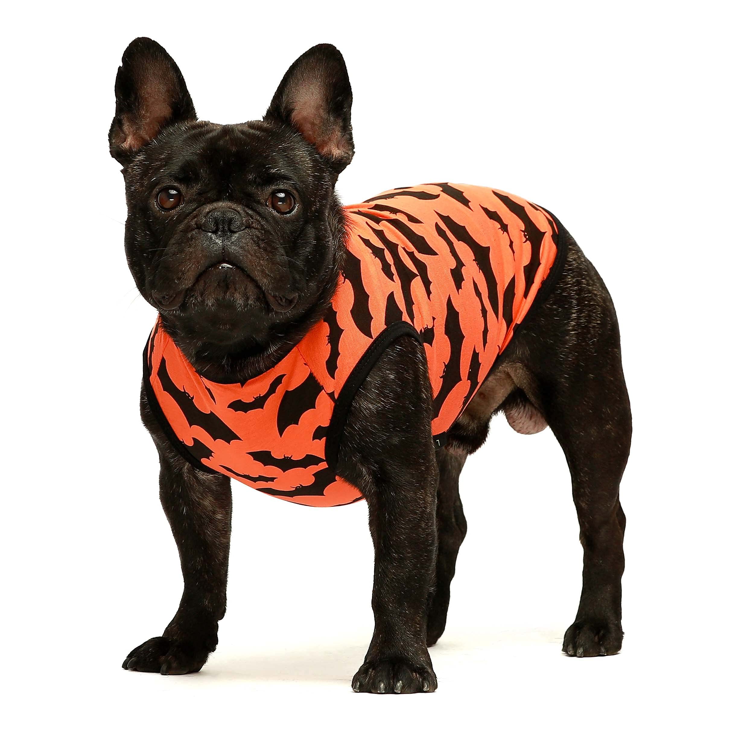 Fitwarm 100% Cotton Halloween Dog Clothes Scary Bat Dog Costumes Doggie Shirts Puppy Shirt Pet Vest Tank Top Cat Tee Orange Medi