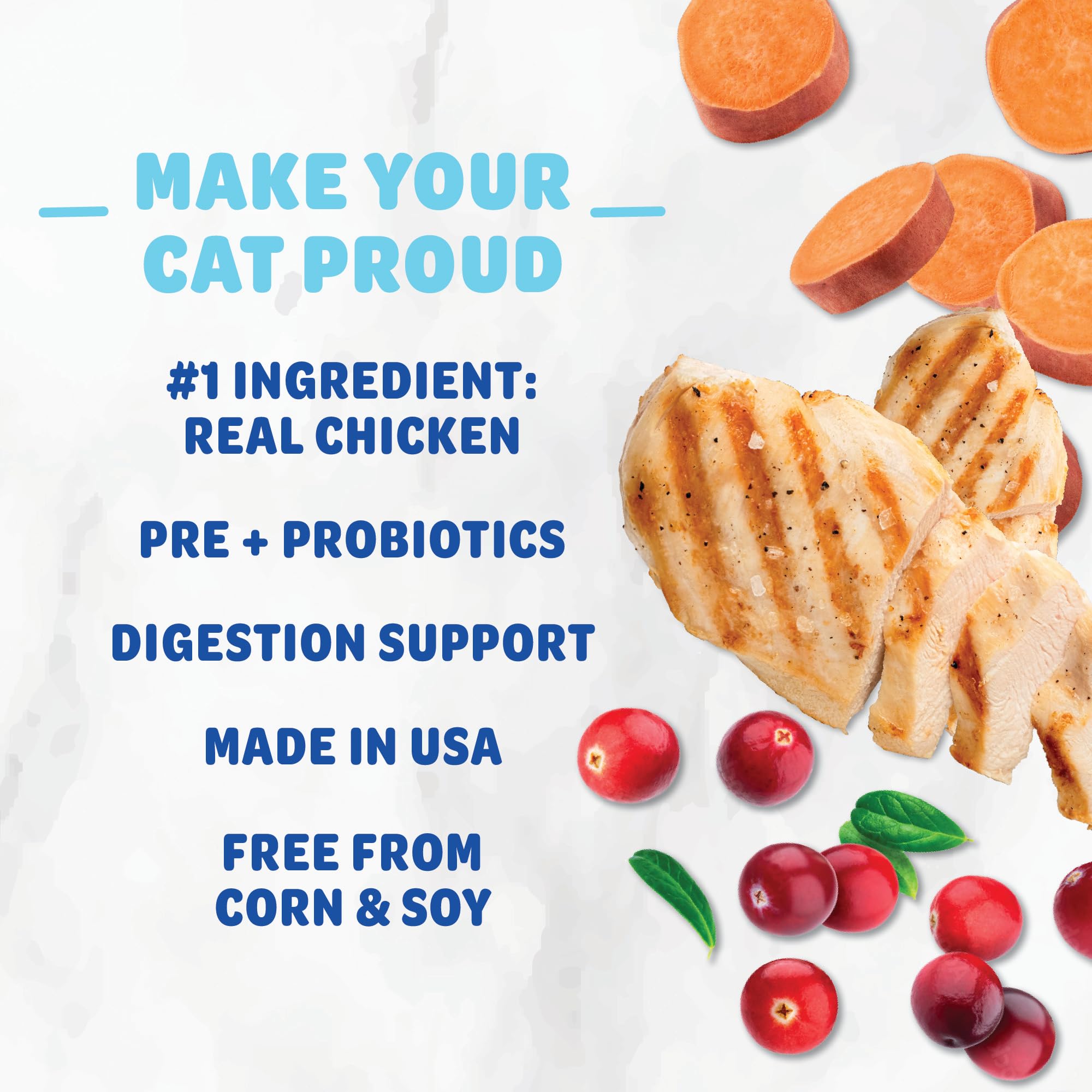 Shameless Pets Crunchy Cat Treats - Kitty Treats for Cats with Digestive Support, Natural Kitten Treats with Real Chicken, Healt