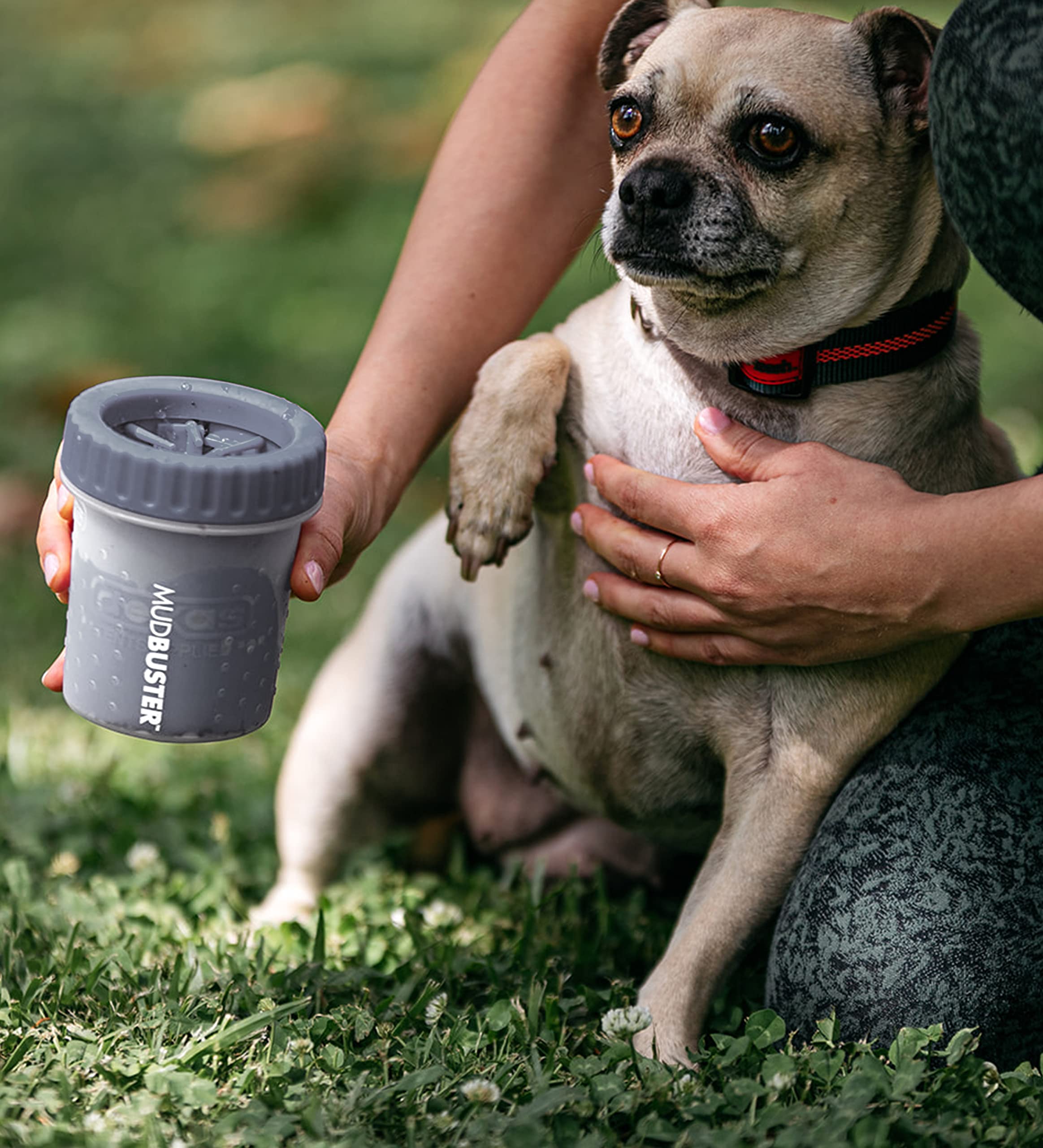 Dexas Mudbuster Portable Dog Paw Washer/Paw Cleaner, Small, Light Gray