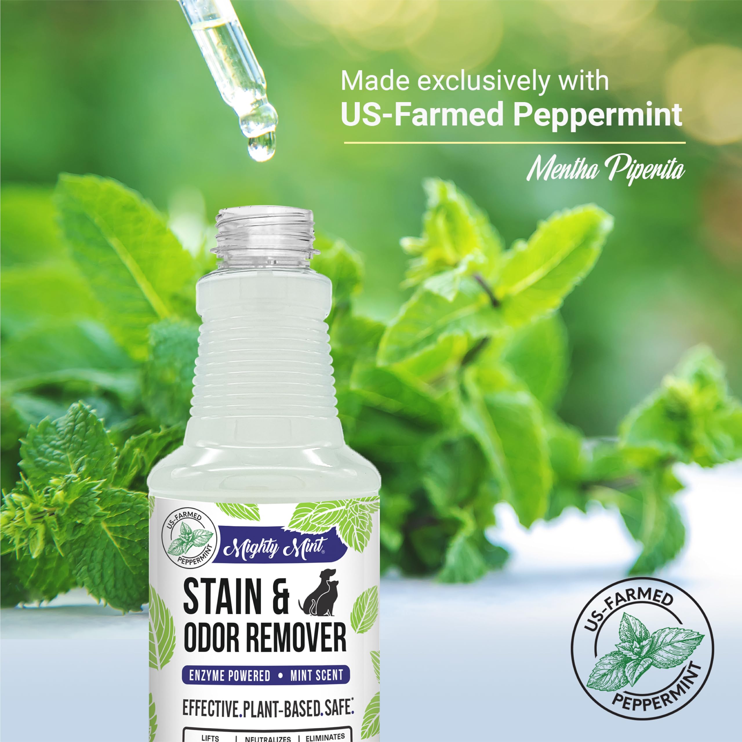 Mighty Mint Stain & Odor Remover, Natural Enzyme Spray Safely Neutralizes Odor And Stains From Dogs, Cats On Carpet, Furniture,