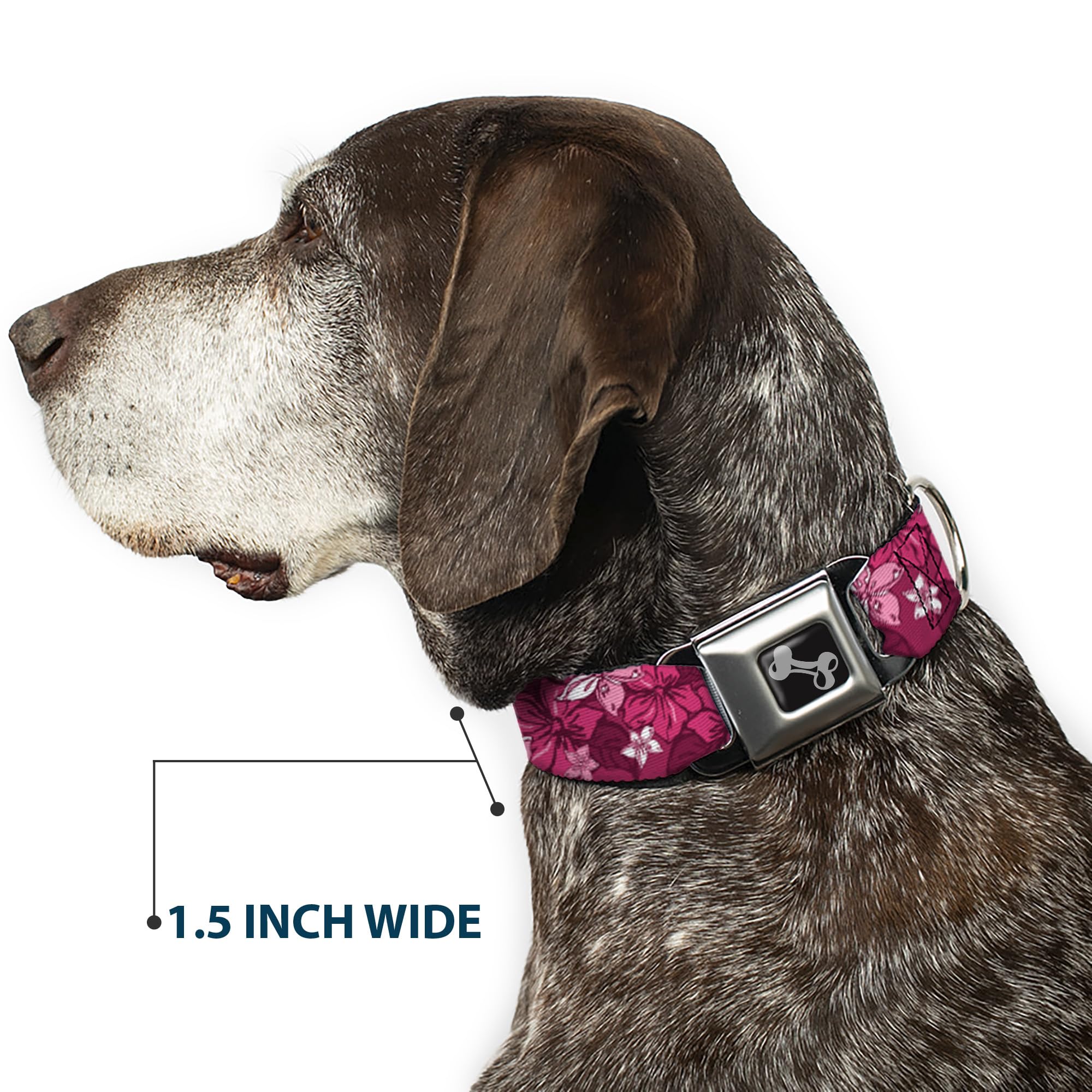 Buckle-Down Seatbelt Buckle Dog Collar - Hibiscus Collage Pink Shades - 1' Wide - Fits 11-17' Neck - Medium (Dc-W30876-M)