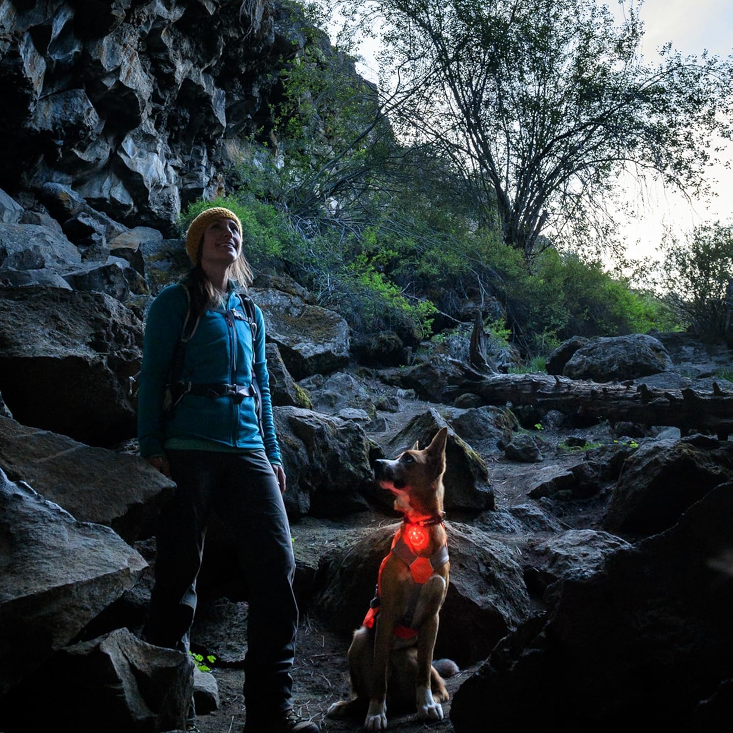 Ruffwear Beacon Safety Light for Dogs - Clear Lake Color, Model 55103-102