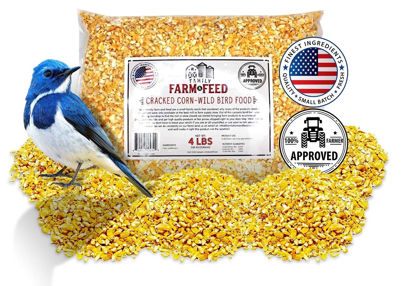 FAMILY FARM AND FEED | Four Seasons | in Shell Peanuts | Wild Bird Food | Backyard Songbird | 2 Pounds