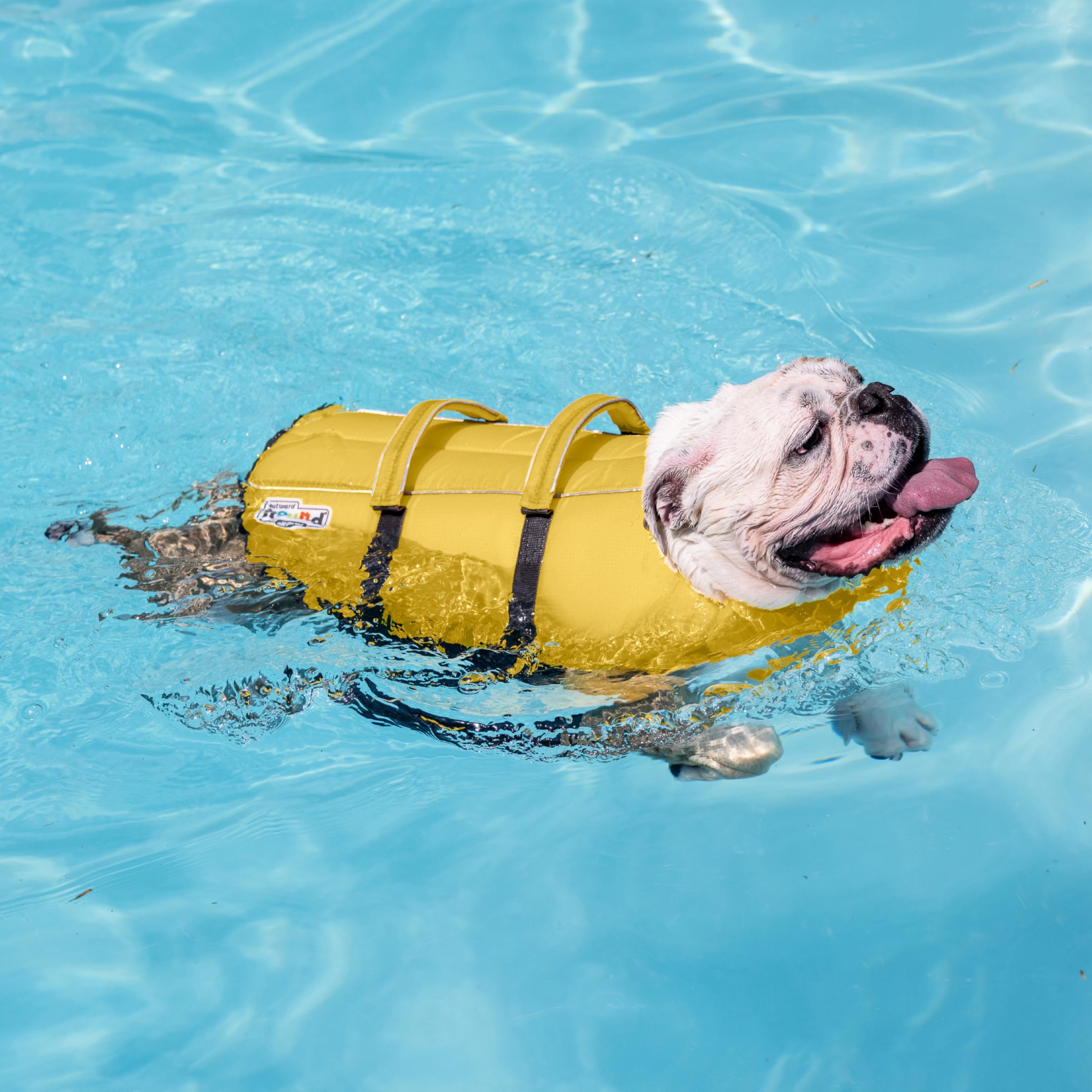 Outward Hound Granby Splash Yellow Dog Life Jacket, Xl