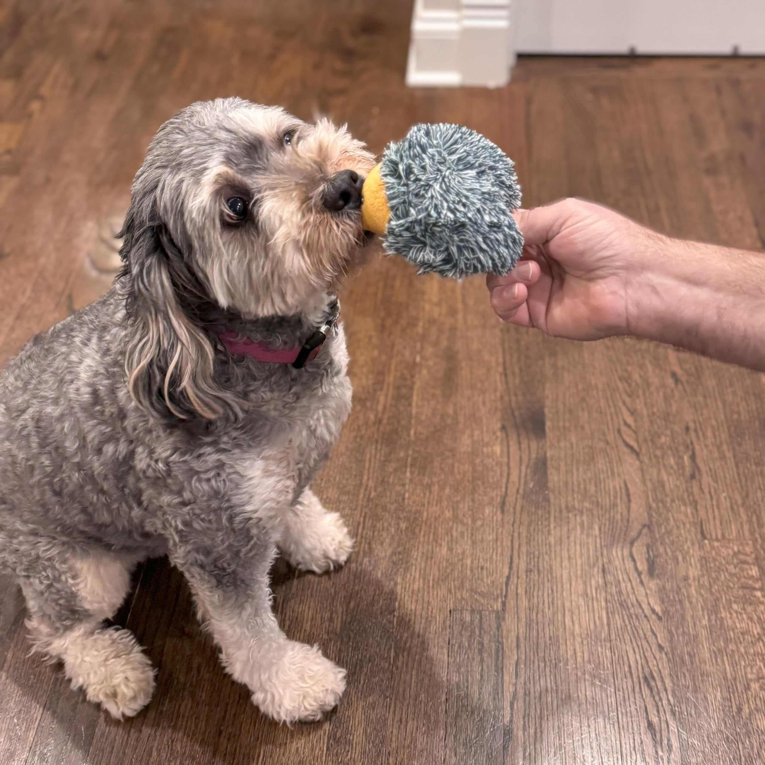 Spot Butterballs Forest Animals Dog Toy-Soft, Stuffed, Squeaky, Plush Fabric Toy For Mini And Small Dogs And Puppies, Enrichment For Light Chewers And Cuddlers, 4In, Assorted Styles, 1 Piece