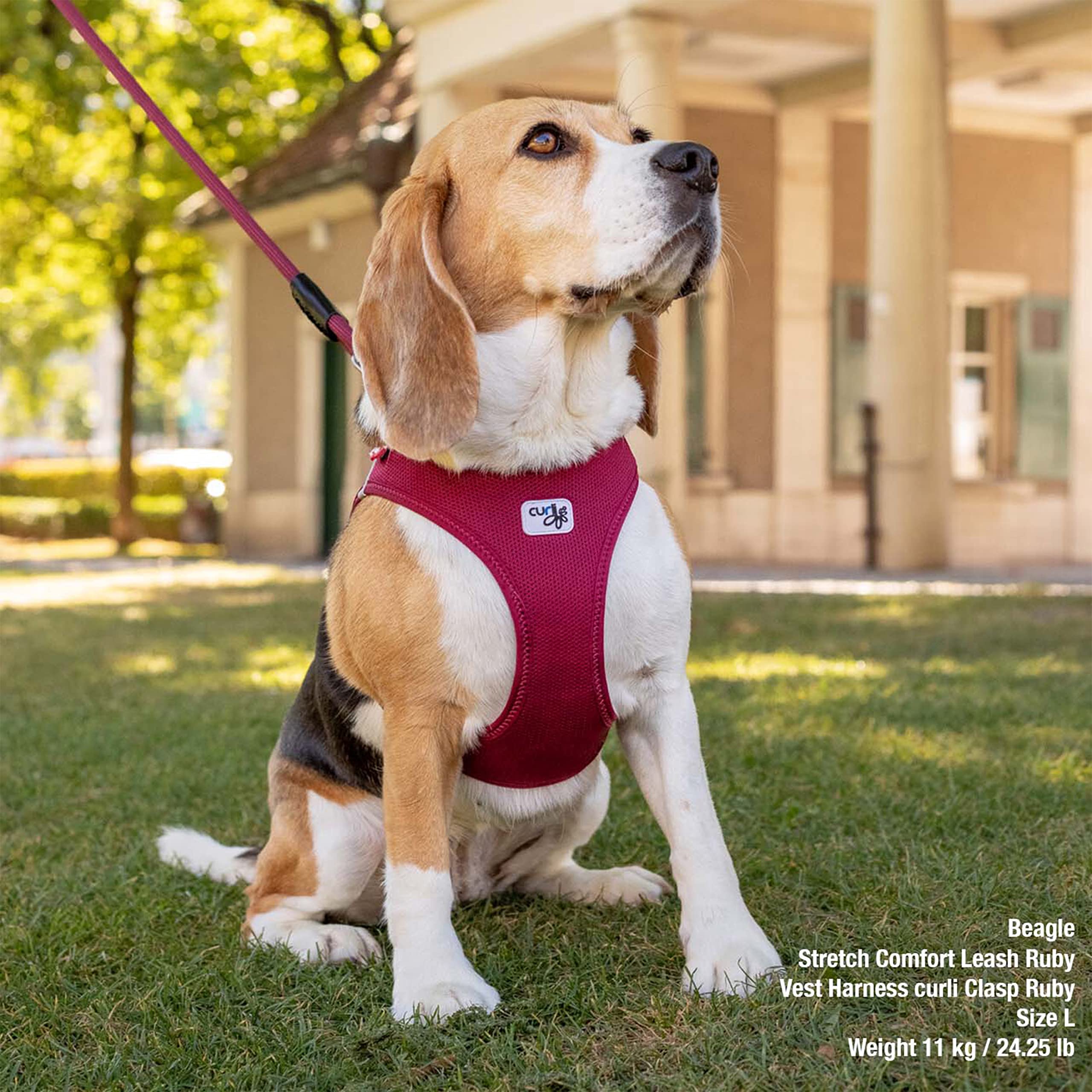 Vest Harness Curli Clasp Air-Mesh Fuchsia 3Xs