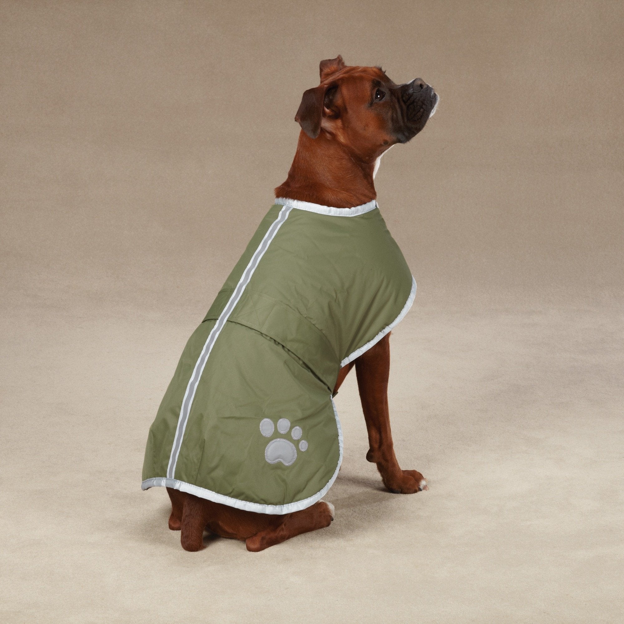Zack & Zoey Noreaster Blanket Coat for Dogs, 10 X-Small, Chive