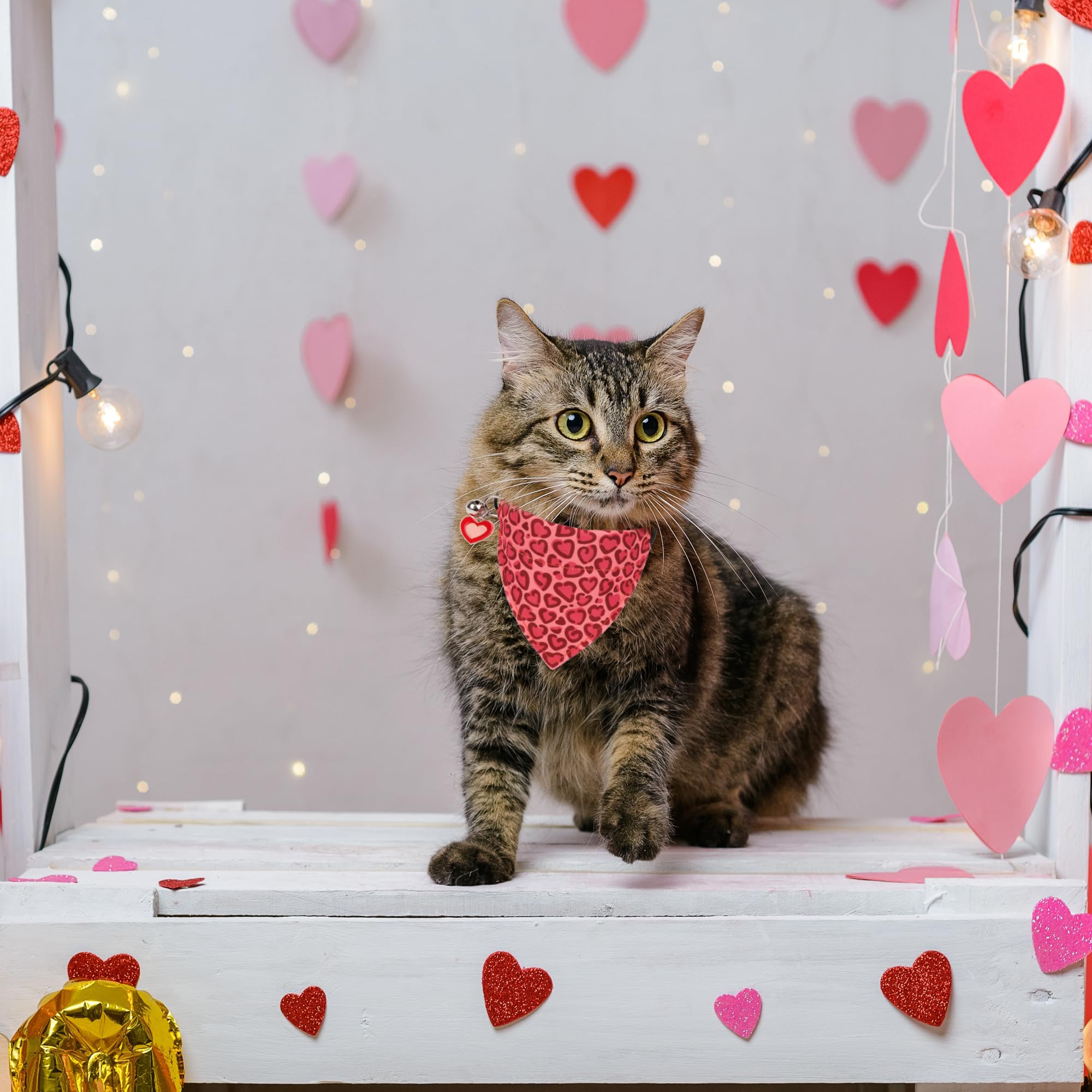 Adoggygo Valentine Cat Collars With Removable Bandana Bell, 2 Pack Adjustable Valentine Heart Collar For Cats Kittens
