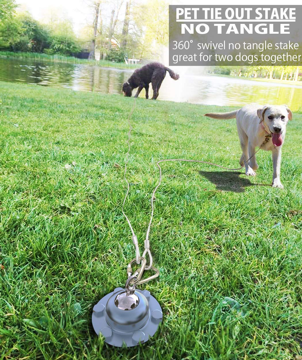Pestairs 360° Swivel Dog Tie Out Stake - Heavy Duty Stainless Steel, Holds 1500Lbs, for Small to Large Dogs, Silver, Model FC-ST01