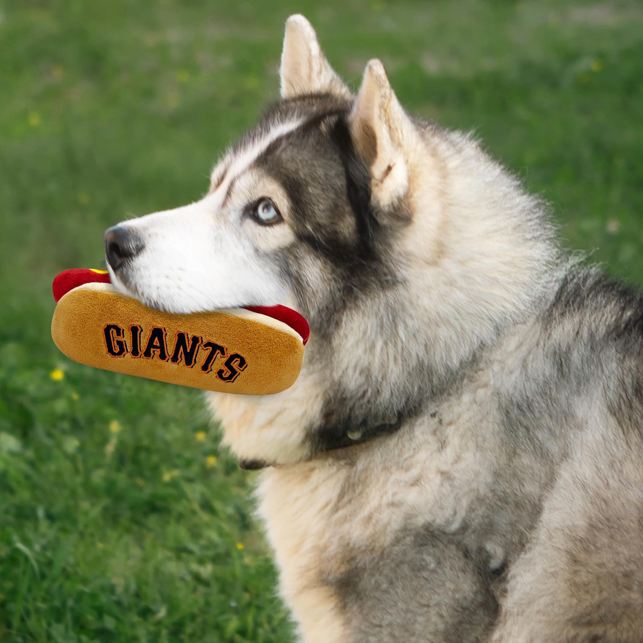 Mlb San Francisco Giants Plush Dog Toys - Stadium Theme Snacks - Cutest Plush Hot-Dog Toy For Dogs & Cats With Inner Squeaker &