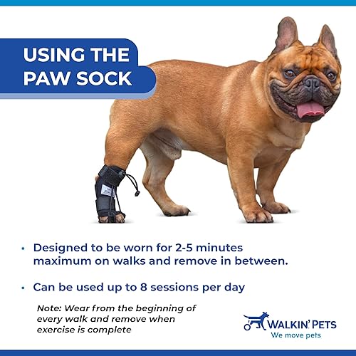 Walkin Rear No-Knuckling Training Sock  Helps Dogs Pick up Their Feet When Knuckling Under or Dragging Their Rear Paws