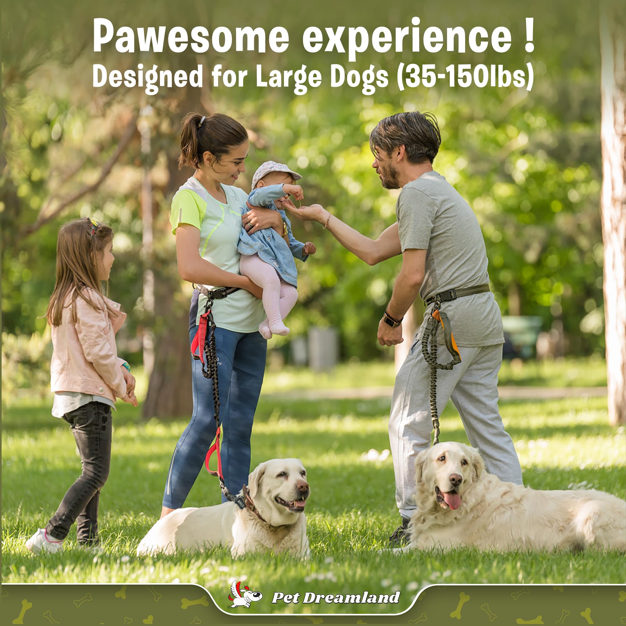 Exquisite Hands-Free Dog Leash: Perfect For Active Pet Owners Comfortable, Durable & Ideal For Running, Walking, Hiking. Premium
