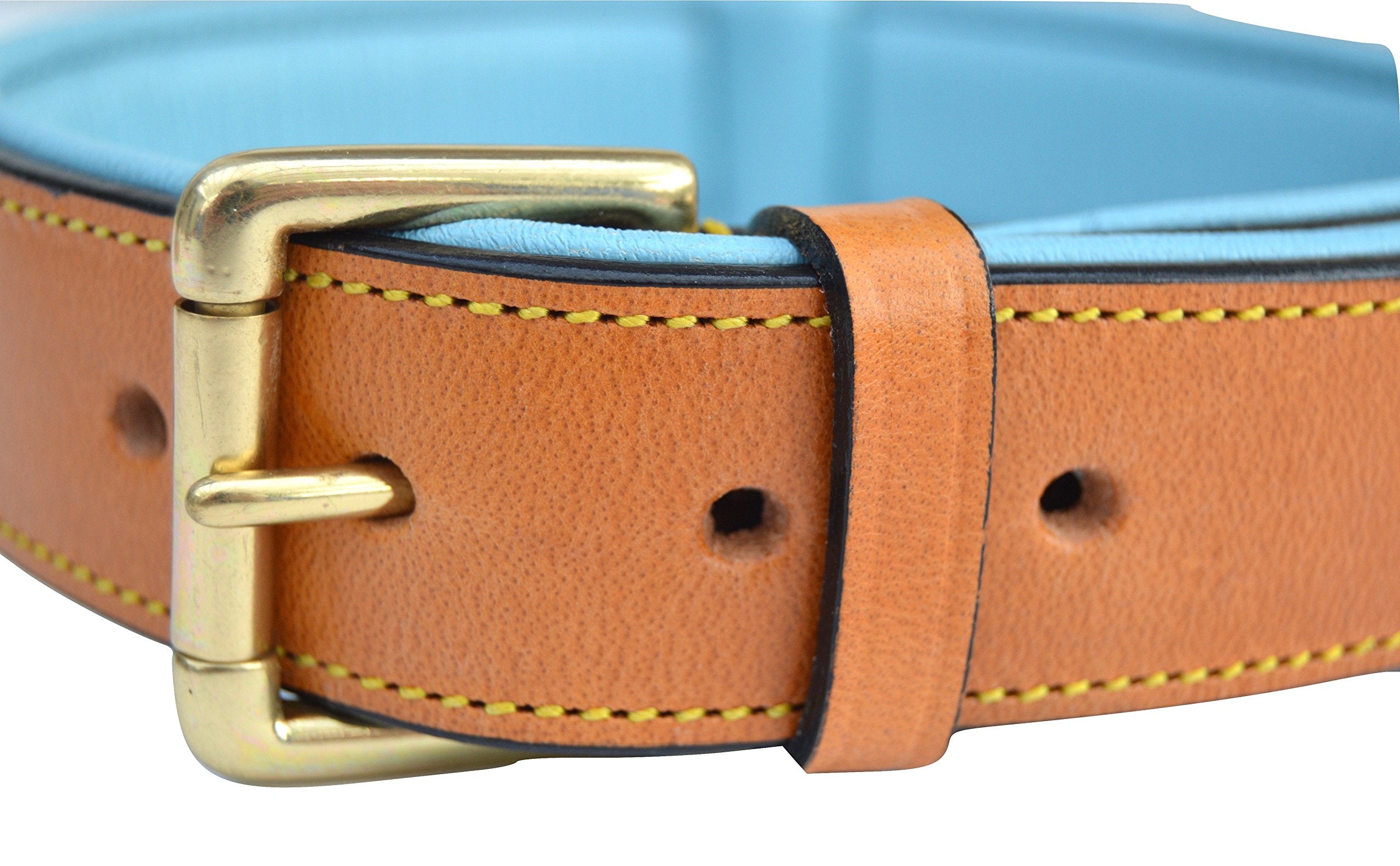 Soft Touch Collars Leather Padded Dog Collar, Large 24" x 1.5", Tan/Teal, Genuine Leather for Neck Size 18" to 21"