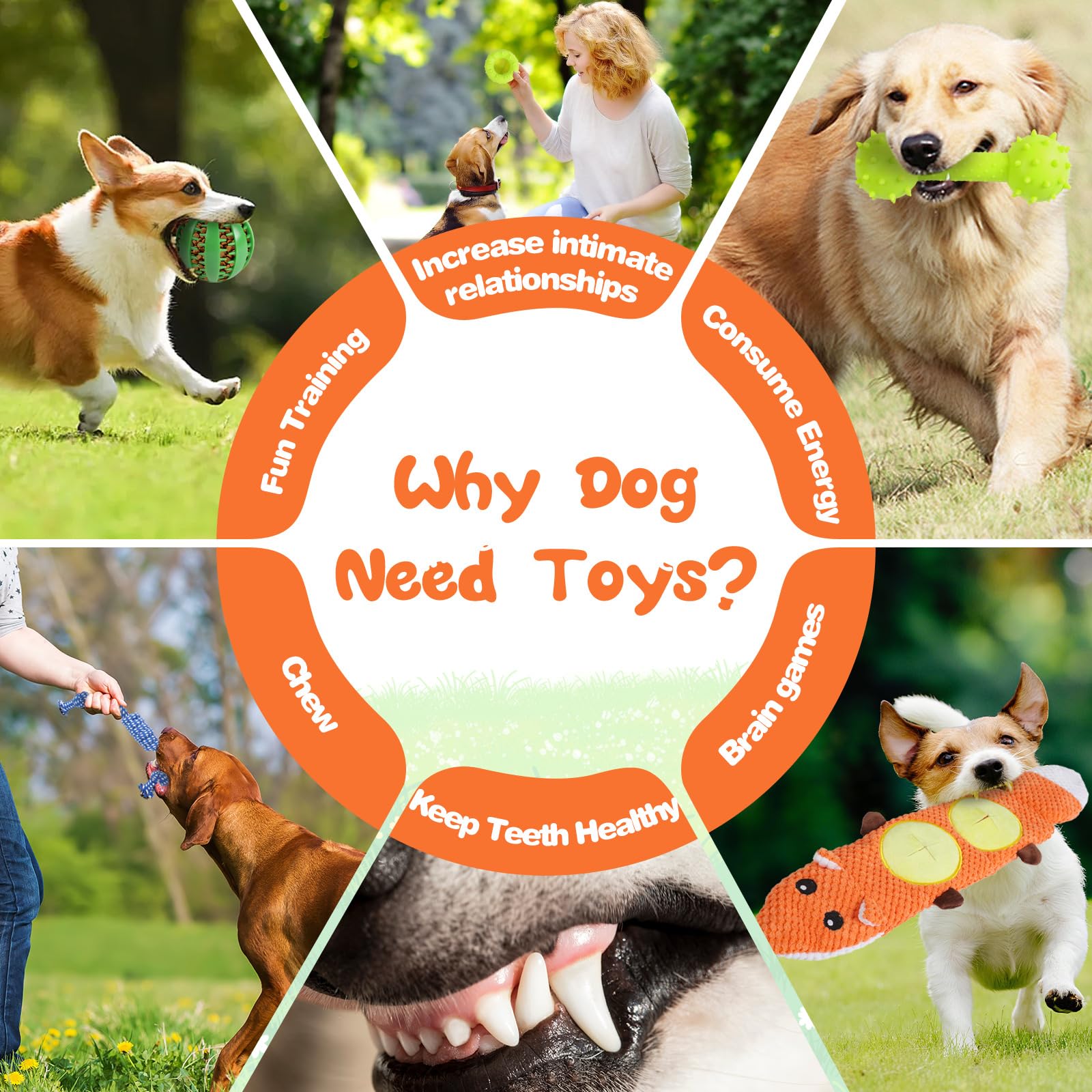MRSOHRET 15 Pack Dog Toys, Dog Puzzle Toy Puppy Chew Toys for Teething, Dogs Essentials Toy Bundle with No Stuffing Squeaky Toy,