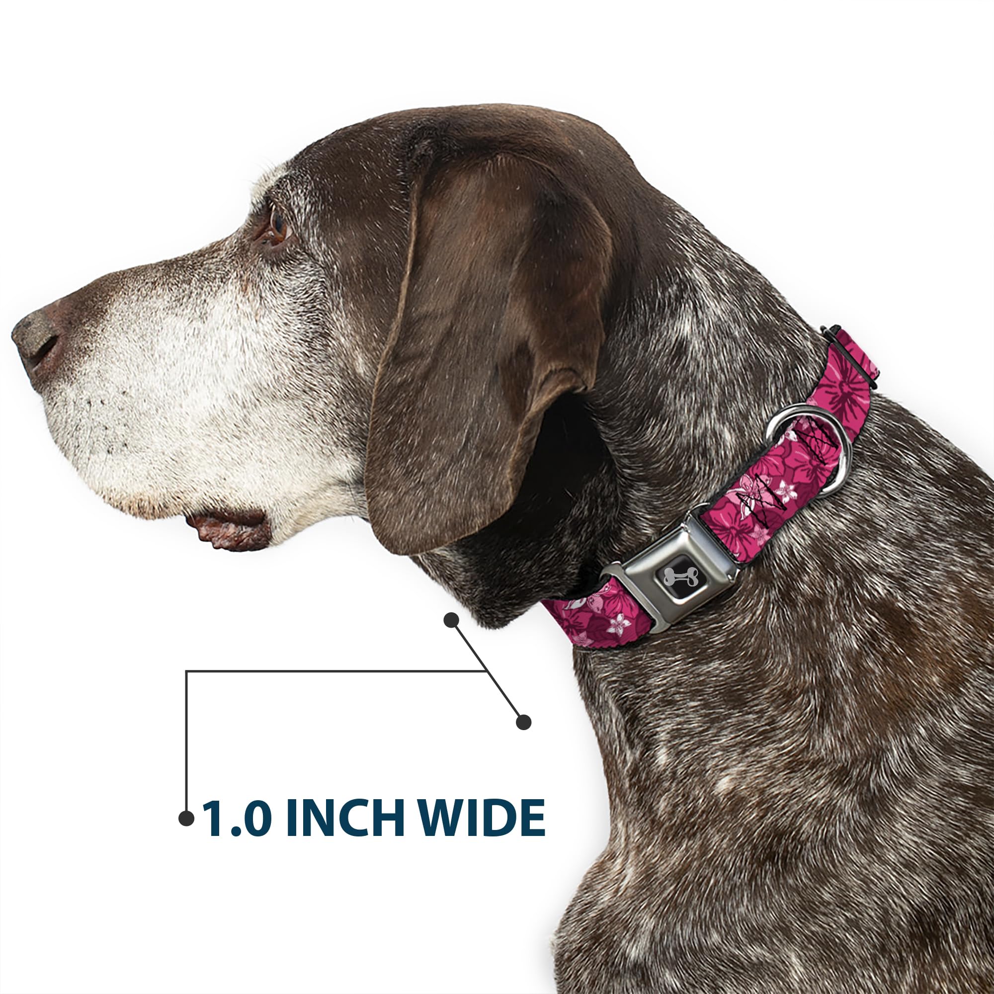 Buckle-Down Seatbelt Buckle Dog Collar - Hibiscus Collage Pink Shades - 1' Wide - Fits 11-17' Neck - Medium (Dc-W30876-M)