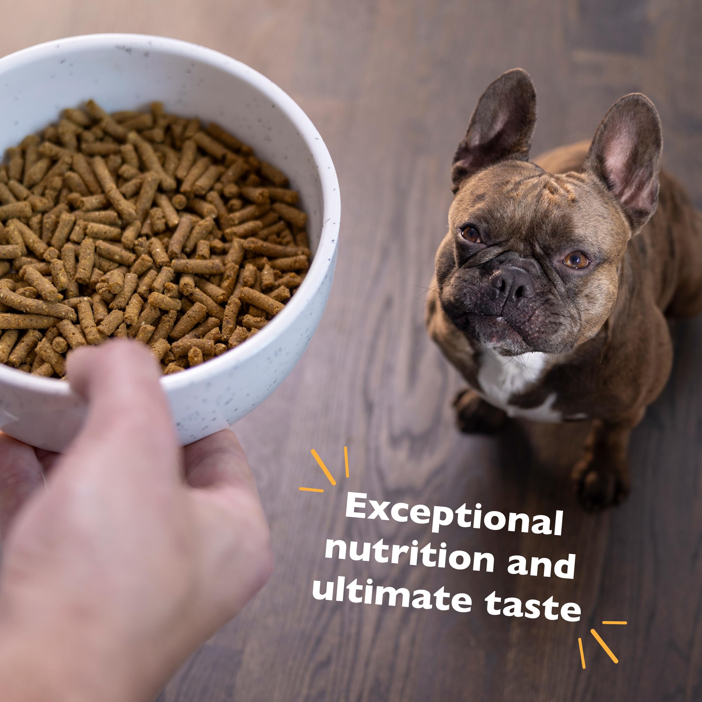 Bil-Jac Dry Dog Food Small Breed Adult Formula 6lb Bag (2-Pack) - Chicken, Oatmeal & Yams - Super Premium Since 1948