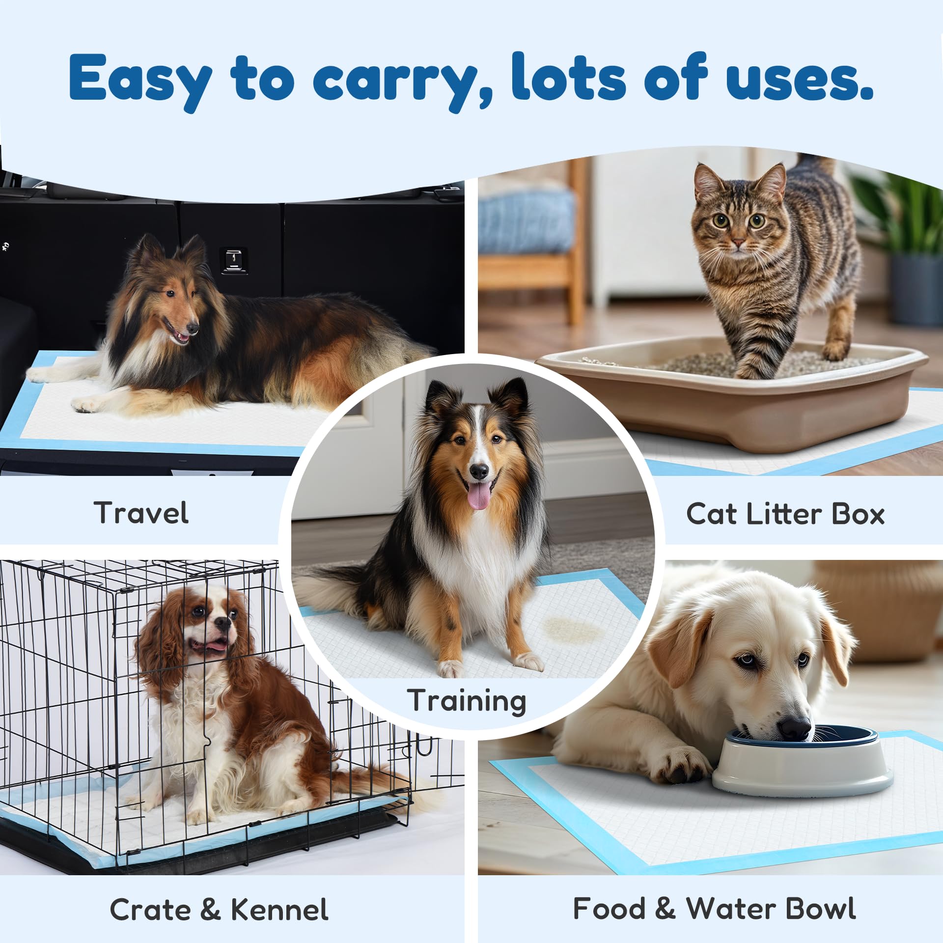 Super Absorbent Waterproof Dog and Puppy Pet Training Pad, Housebreaking Pet Pad, 40-Count Extra Middle-Size, 30X36, Blue