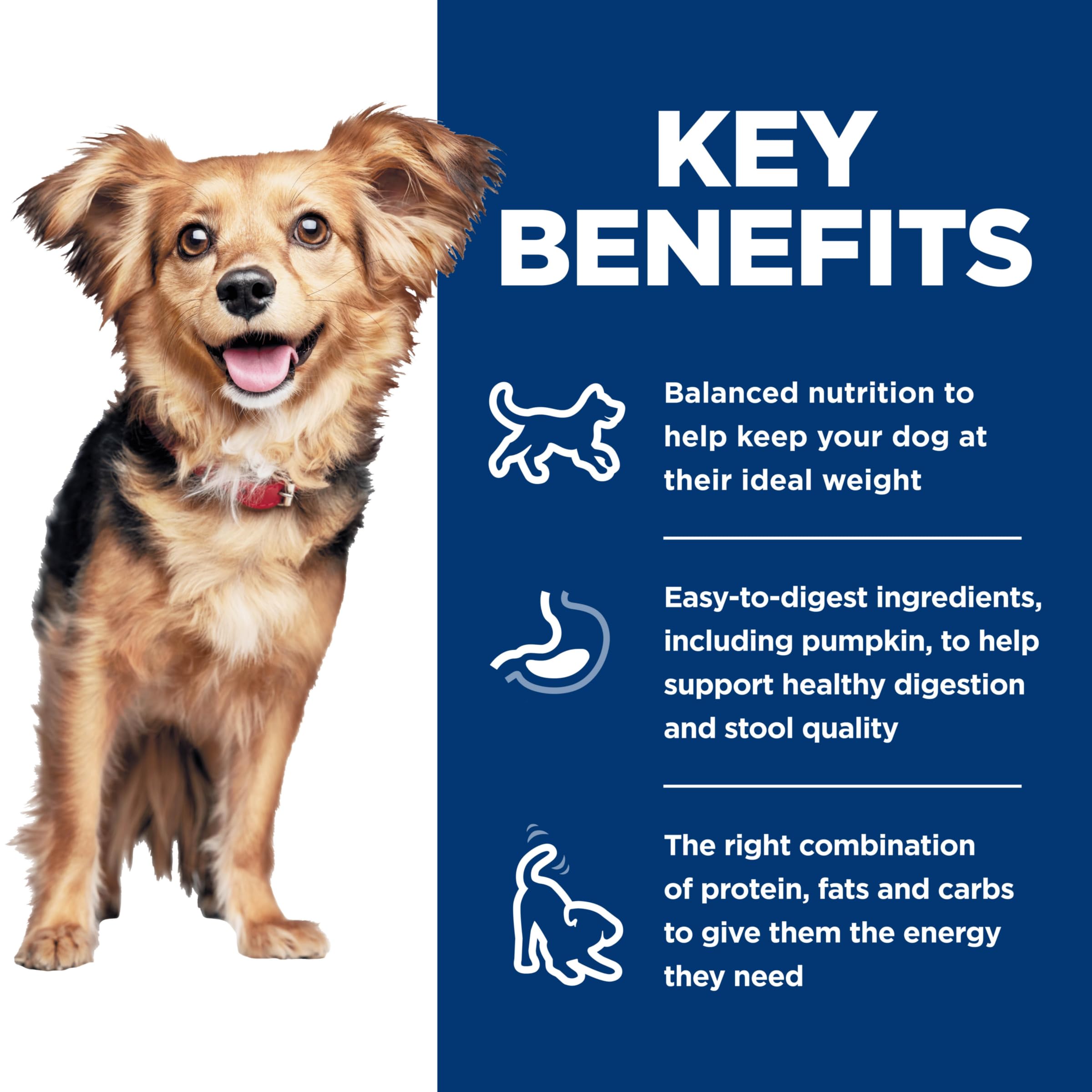 Hills Science Diet Perfect Digestion, Adult 1-6, Small & Mini Breeds Digestive Support, Wet Dog Food, Chicken & Vegetables Loaf