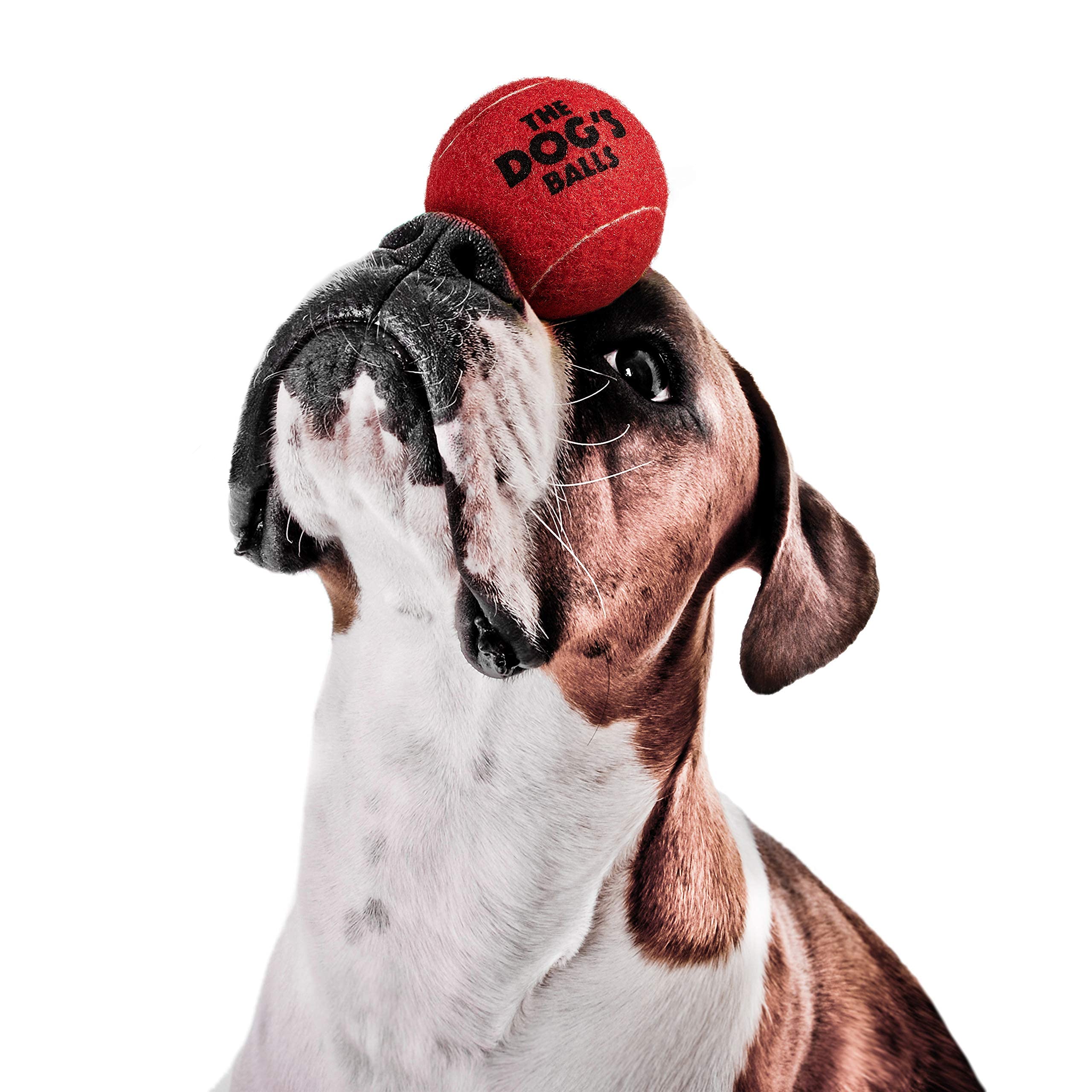 The Dog's Balls, Dog Tennis Balls, 12-Pack Red, 2.5 Inches Diameter Dog Toy, Strong Dog & Puppy Ball for Training, Play, Exercis