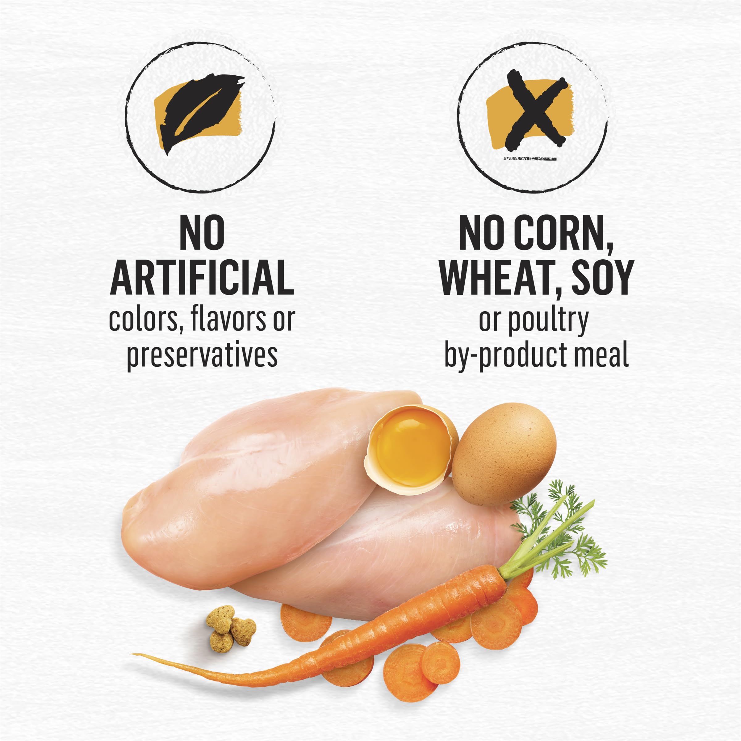 Purina Beyond Grain Free White Meat Chicken and Egg Recipe Natural Cat Food High Protein Cat Food Dry Formula - 16 Lb. Bag