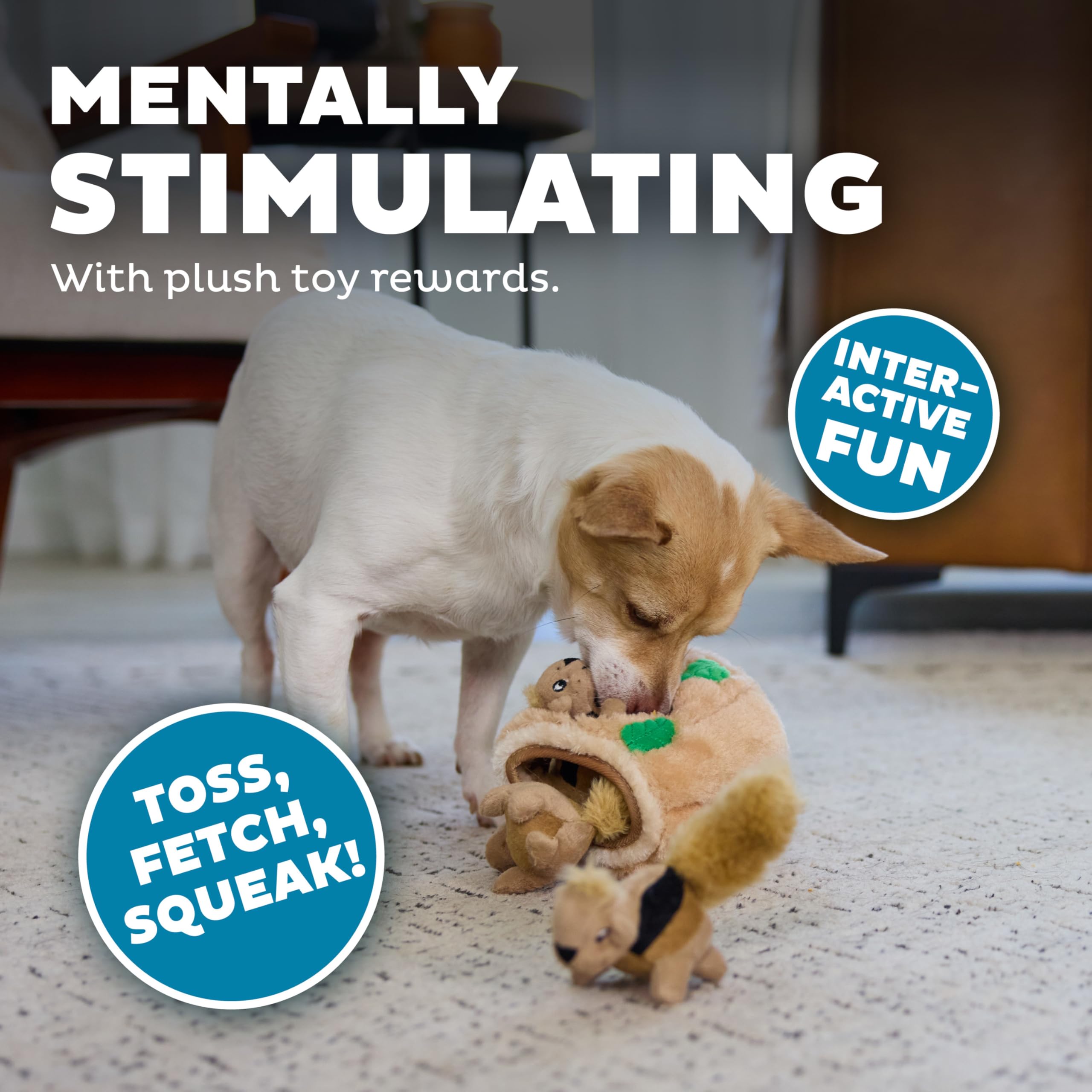 Outward Hound Hide A Squirrel Plush Dog Toy Puzzle, Small, Multi, Model 31001, Durable Polyester