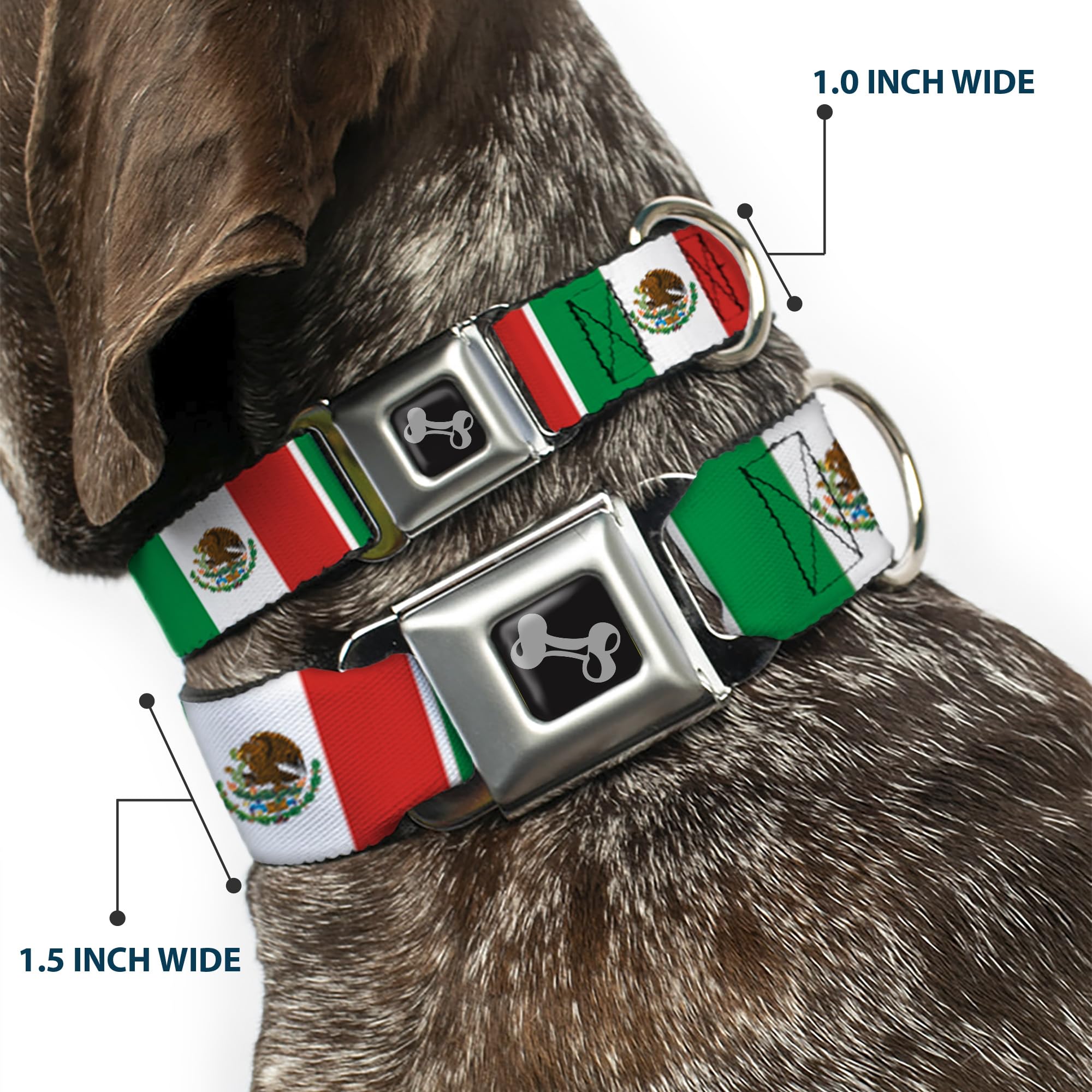 Buckle-Down Seatbelt Buckle Dog Collar - Mexico Flags - 1.5' Wide - Fits 16-23' Neck - Medium