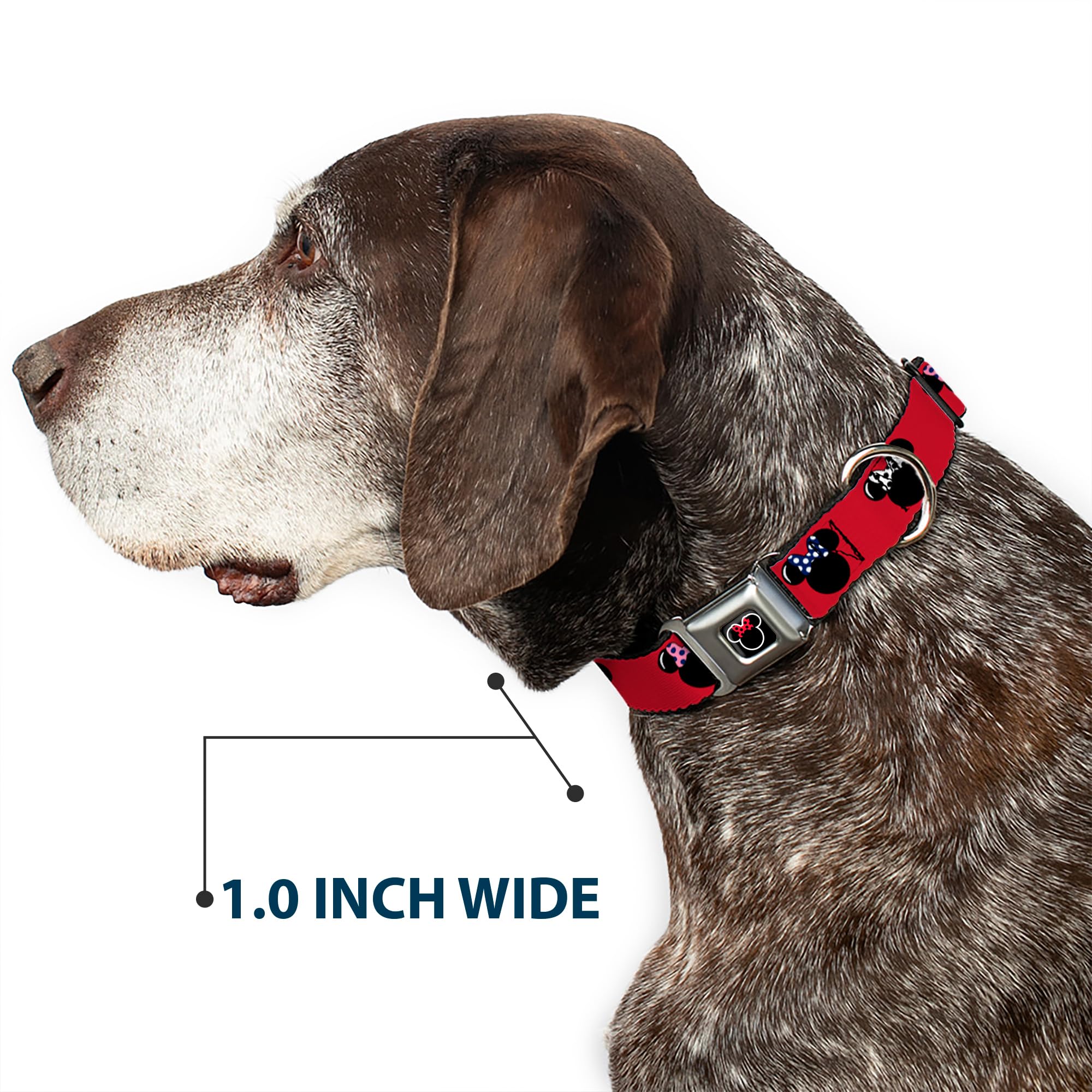 Buckle-Down Seatbelt Buckle Dog Collar - Minnie Mouse Silhouette Red/Black/Polka Dot - 1' Wide - Fits 11-17' Neck - Medium
