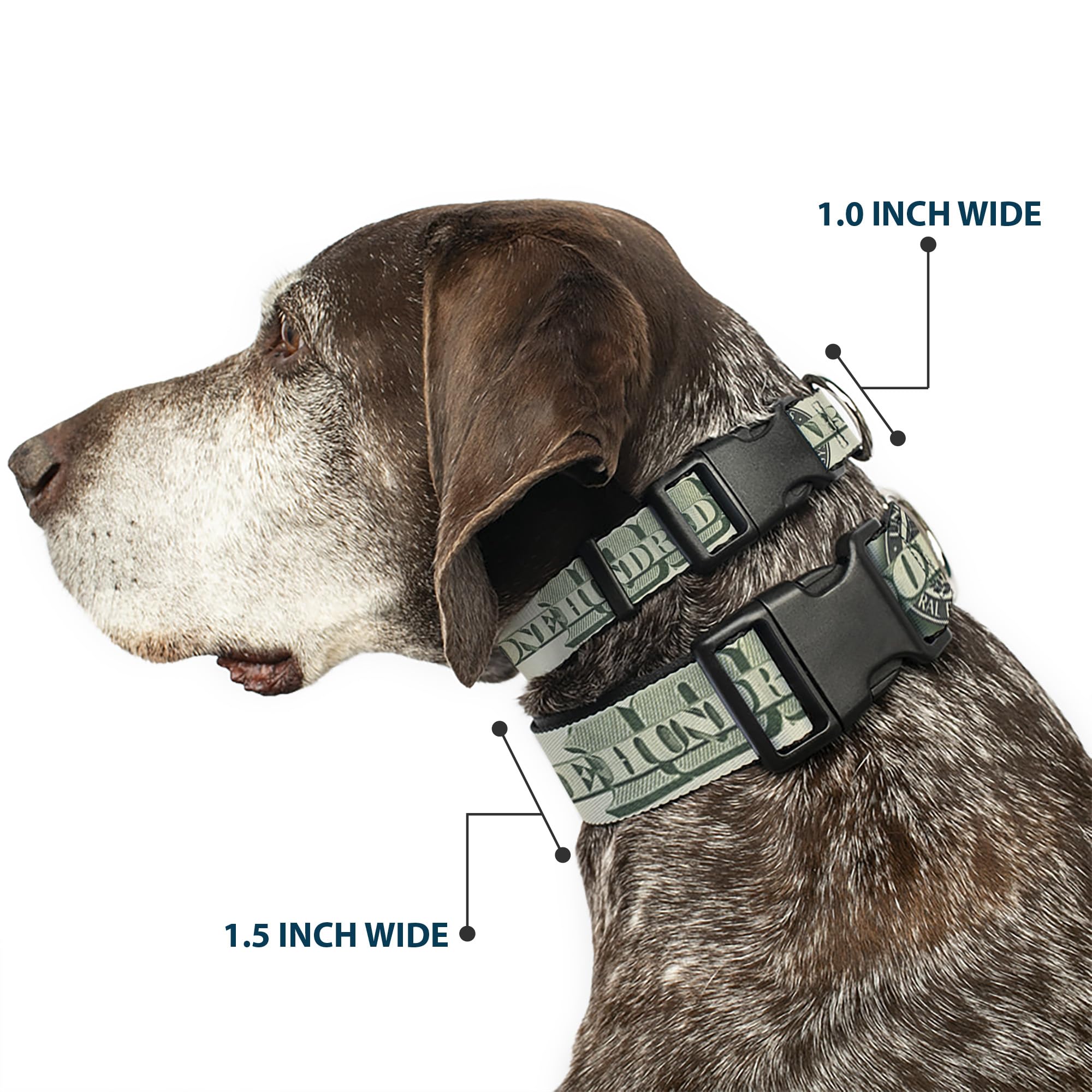 Buckle-Down 100 Dollar Bill C/U/Triple Benjamin Plastic Clip Collar, 1'' X 15-26''/Large